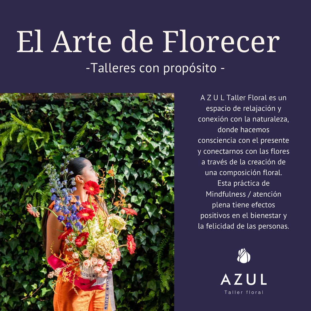 TU ERES EM PROYECTO MAS IMPORTANTE DE TU VIDA. - 🌺Que tanto tiempo dedicas para ti? Ven y comparte con tus seres queridos un espacio de esparcimiento, amor y felicidad con nuestros talleres Florales. Desconéctate y Reconéctate contigo.🫶🏽