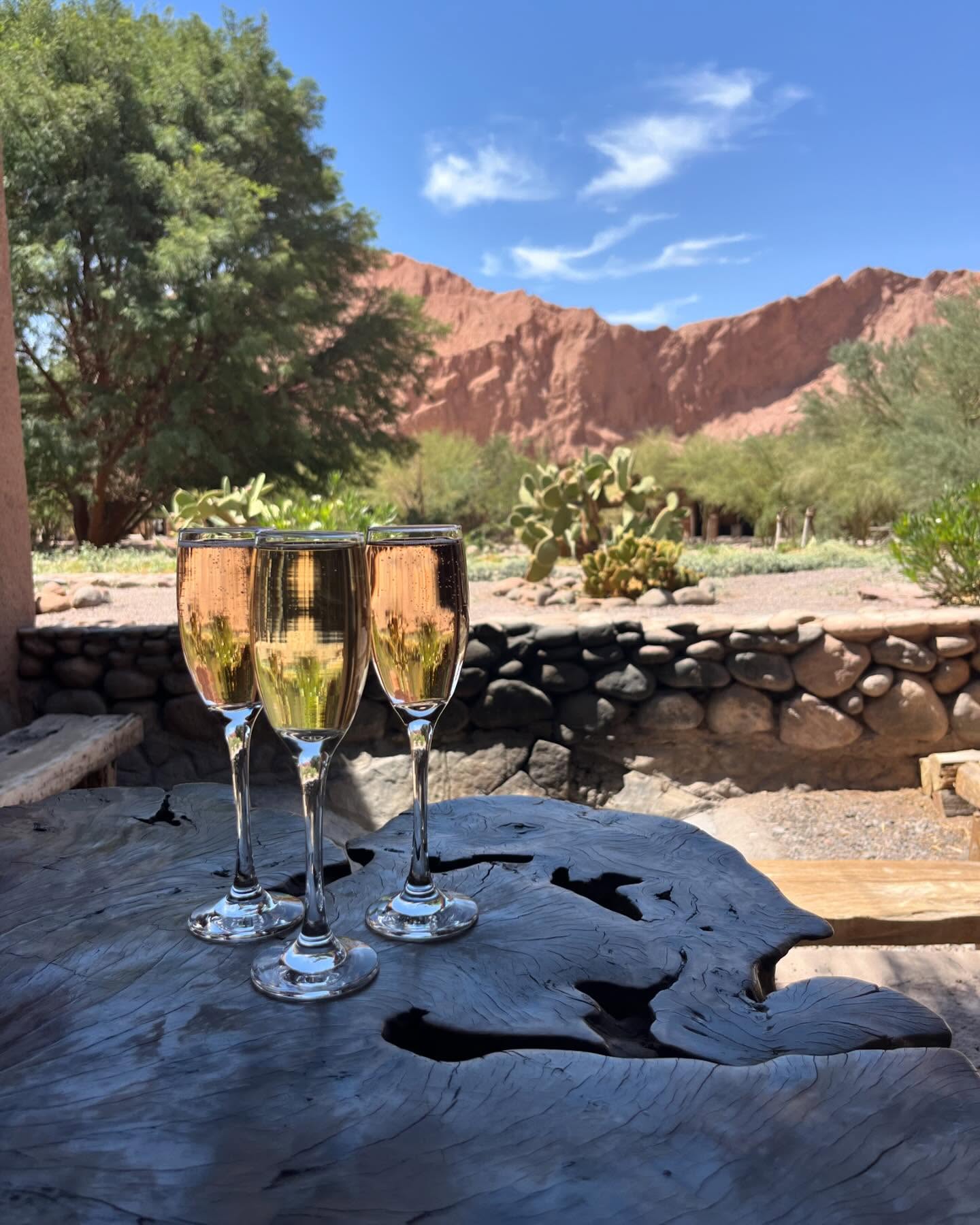 @nayaraaltoatacama The Atacama Desert which is the driest nonpolar desert in the world, and the second driest overall. Also incredible stargazing, flamingos who live in the salt flats, Mars like topography, sand dunes, beautiful hikes and sundowners. Incredible learning how the indigenous people survived in this harsh climate. We literally stayed in an oasis in the middle of barren land!! #virtuoso #travel #travelagent #springbreak #chile #desert #atacamadesert #atacamachile #