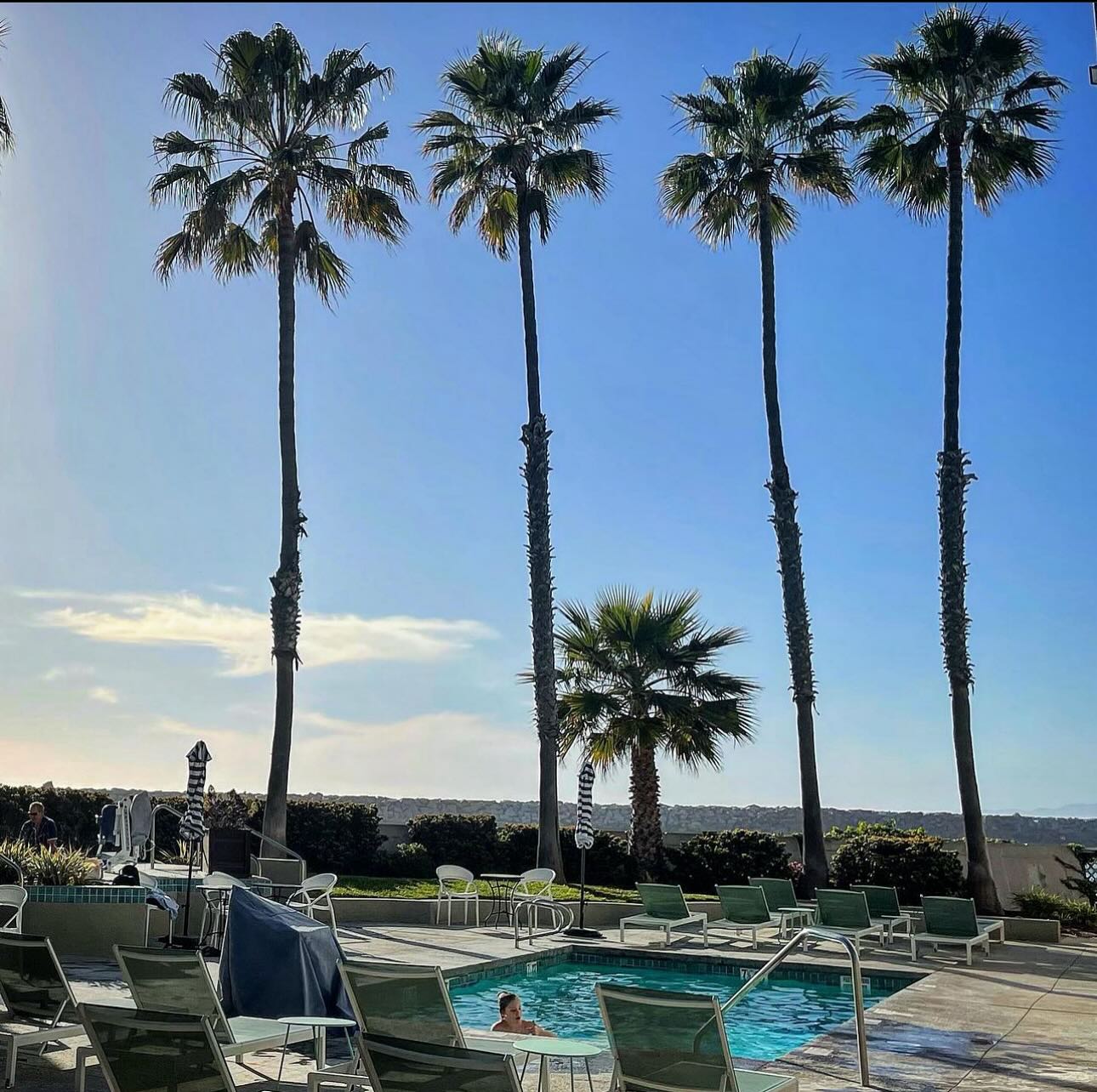 Bye bye winter, hello Spring 🤝 📸: @jillsfoodtravels