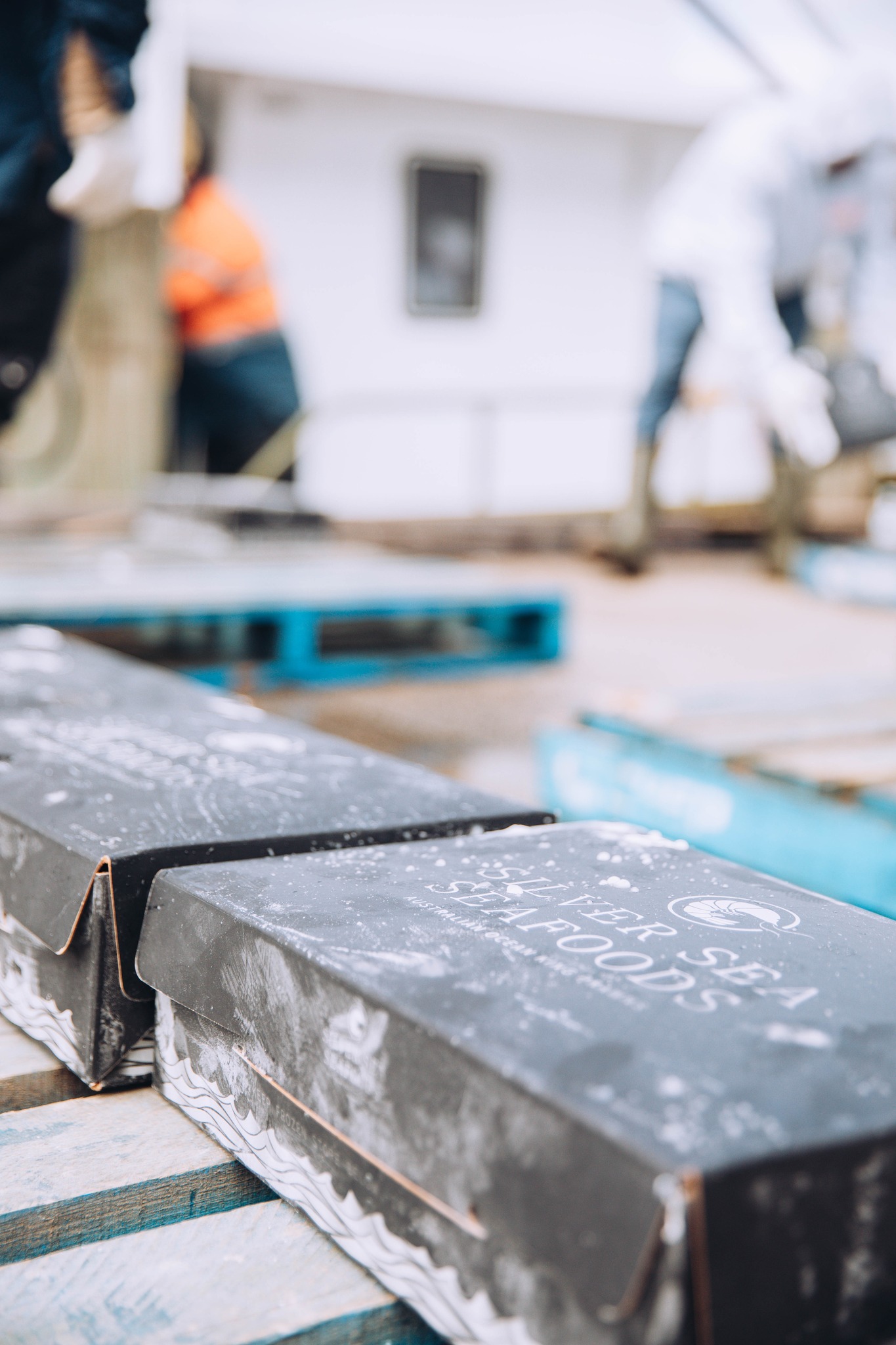 SNAP frozen...@ sea in temperatures of up to -40 degrees, The rapid freezing process allows us to lock in the flavour, preserve the quality and maintain the freshness of your product. Making it perfect for transporting long distance whether within Aus or to overseas markets ⚓❄