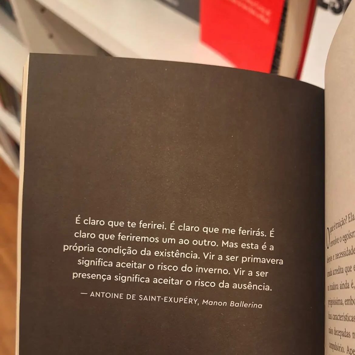 Essa talvez seja a essência intrínseca das interações interpessoais: os conflitos fazem parte das relações. Quem sabe esse seja o primeiro passo para se estabelecer uma conexão genuína…
Dentro de cada relacionamento, depositamos nossas próprias cicatrizes, experiências, traumas e desejos. Trazemos conosco os resquícios do passado, que moldam nossas percepções e reações no presente.
Essa frase me marcou, ecoou como um convite para explorar a dualidade da existência, onde a dor e a alegria, o amor e o desapego, entrelaçam-se. Abrindo espaço para olhar que a ruptura e as mudanças tem potencial transformador. Afinal, vir a ser primavera implica aceitar o risco do inverno, assim como vir a ser presença significa aceitar o risco da ausência.
Parafraseando o grande psicólogo Fritz Perls, “Eu não me amarei, se para lhe satisfazer precisar me trair, nem eu o amo se desejar que você seja como eu quero, em vez de aceitá-lo como você é. Você é você e eu sou eu.”