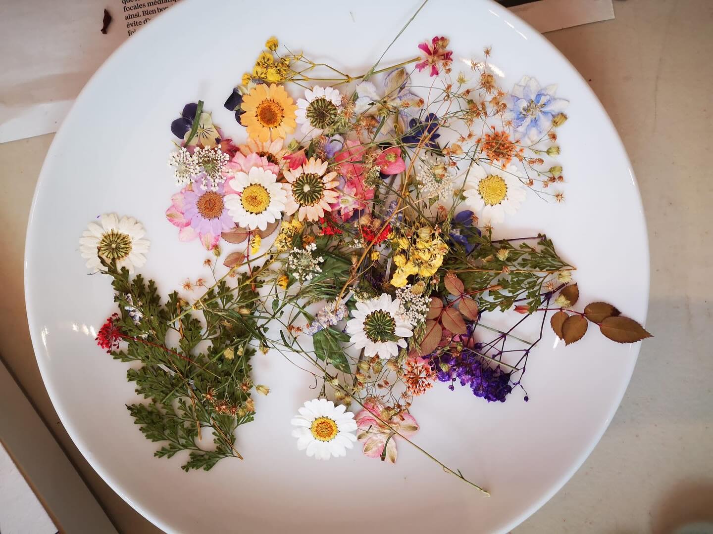 Une très belle journée autour de l’art au Théâtre des Sablons à Neuilly-sur-Seine.