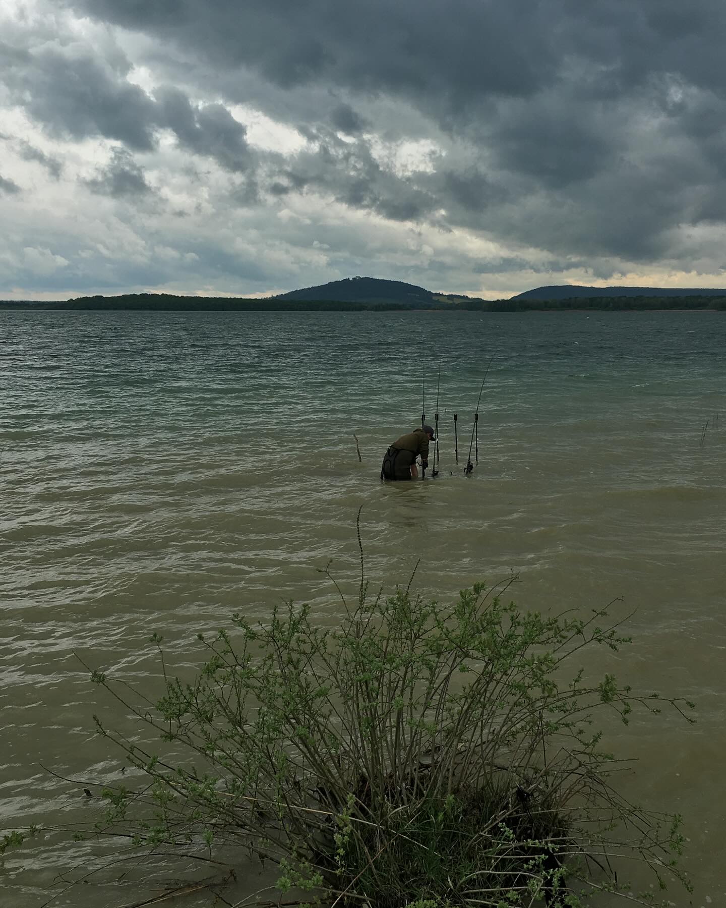 Het was een onstuimig weekend ⛈️!
Aan de bestellingen te zien (waarvoor dank 🙏🏼) hebben we er weer zin in 🎣🐟🏕️!
Het paasweekend staat voor de deur, bestel nog snel en maak gebruik van de deal🐣 ➡️
https://www.mysterybaits.nl/shop
Fijne werk/visweek toegewenst!
#SpicySquid #sweetsquid #carpiste #karpervissen #boillies #pechecarpe #mysterybaits #tastysquid #carpfishing