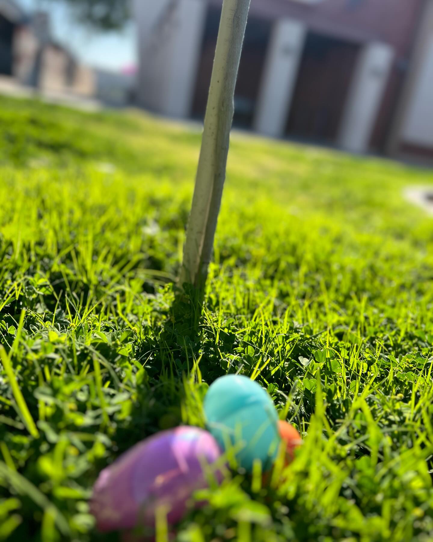 Happy Easter ADP Families and community! Wishing everyone a fun and safe 4 days weekend 😀🐰🐣
#easter#elementaryschool #friendlyhouse