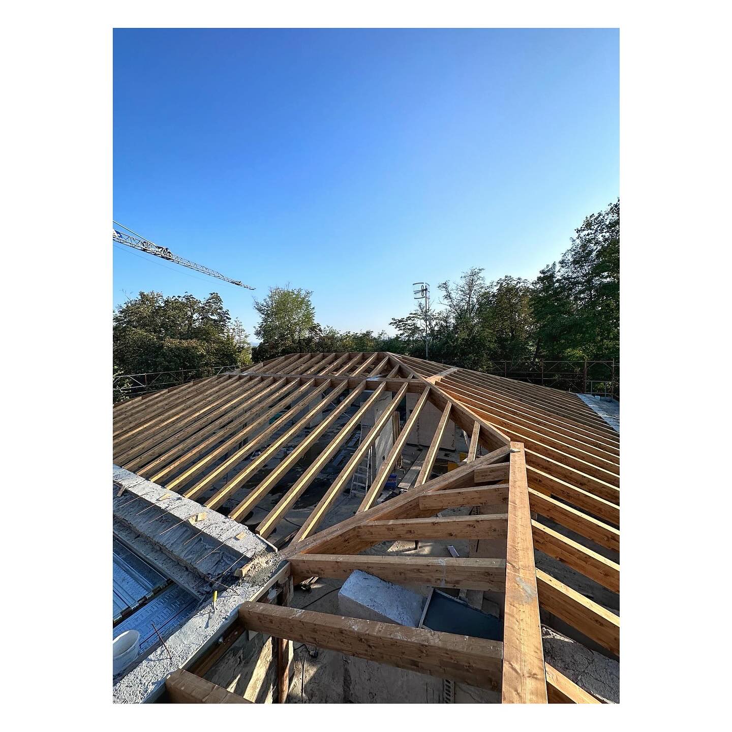 <Tetto in legno>
•
Nelle foto il tetto in legno di abete lamellare, impregnato color rovere, che abbiamo prodotto e lavorato per l’impresa Cimilluca che si è occupata del montaggio.
@giuseppe.cimilluca
@cimillucafabio