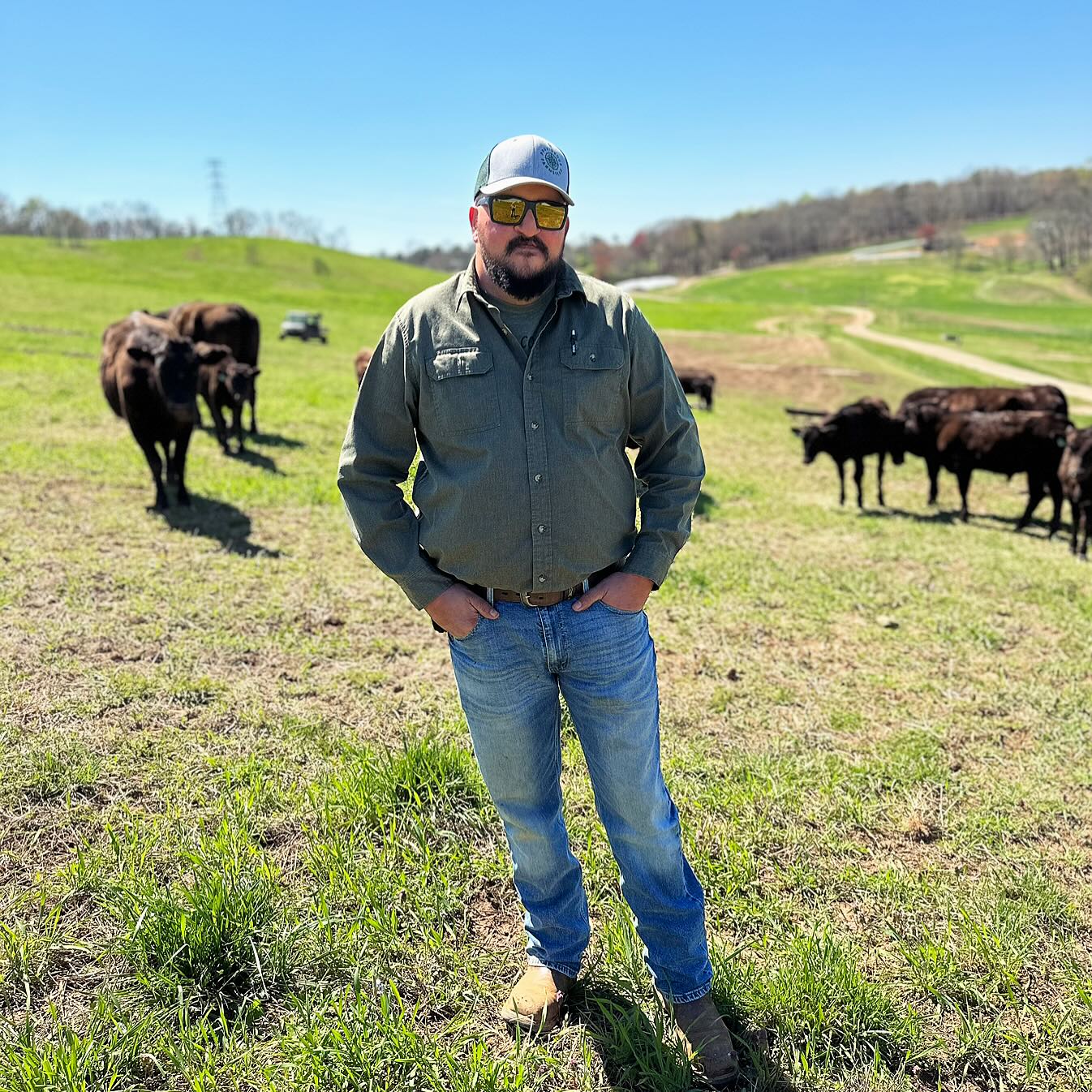 Meet our Demorest Farm Foreman, Dustin Vinson!👋🏼😊
•
Dustin oversees the beef cattle, maintains and builds fence lines, operates all varieties of equipment and is our shop/field mechanic and welder. The list goes on, but these are just a few of the responsibilities Dustin has on the Demorest farm. Dustin’s favorite aspect of working at Providence Farmstead is the opportunity to work with the animals and be outside.
•
Dustin is from Otto, North Carolina but lives on the farm with his girlfriend Kayla and their 4 children and 4 dogs. Dustin has been working with us for 3 years! We really appreciate his calm and gentle demeanor around our cattle, and his dry sense of humor with the team! Outside of his work, Dustin enjoys hunting, fishing and hiking.
•
Thank you Dustin for all that you do to help make our cattle and farming operation better!🙏🏼