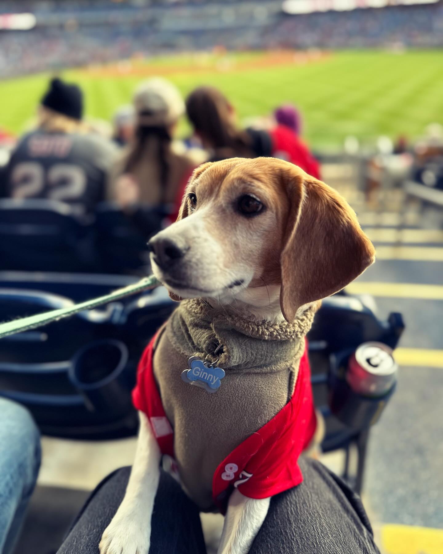⚾️ 🐶