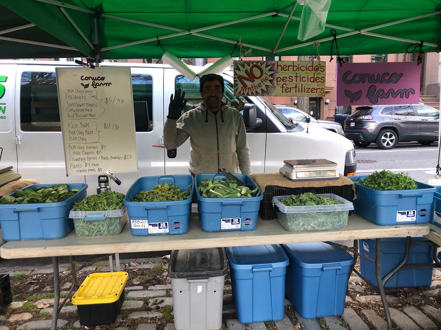 We are back at Fort Greene today with lots of spring greens, plants, and edible flowers!