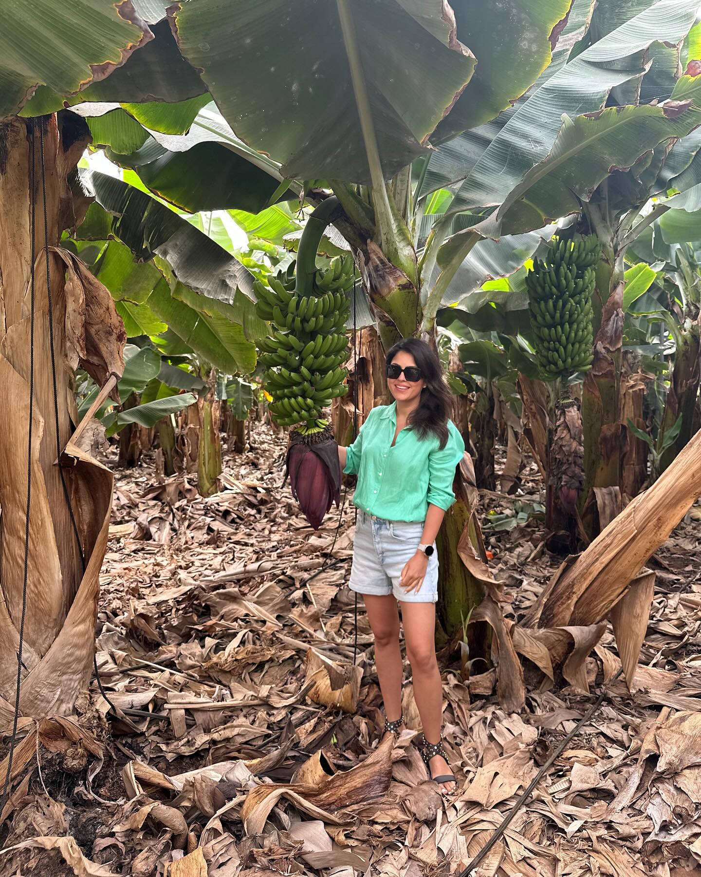 🍌👩🏻🌾Banánültetvény túra és kóstoló.🍌 Nagyon nagy élmény volt. Ha Tenerifén jártok, ne hagyjátok ki.😉Köszi @timiburjan az ajánlást!;)