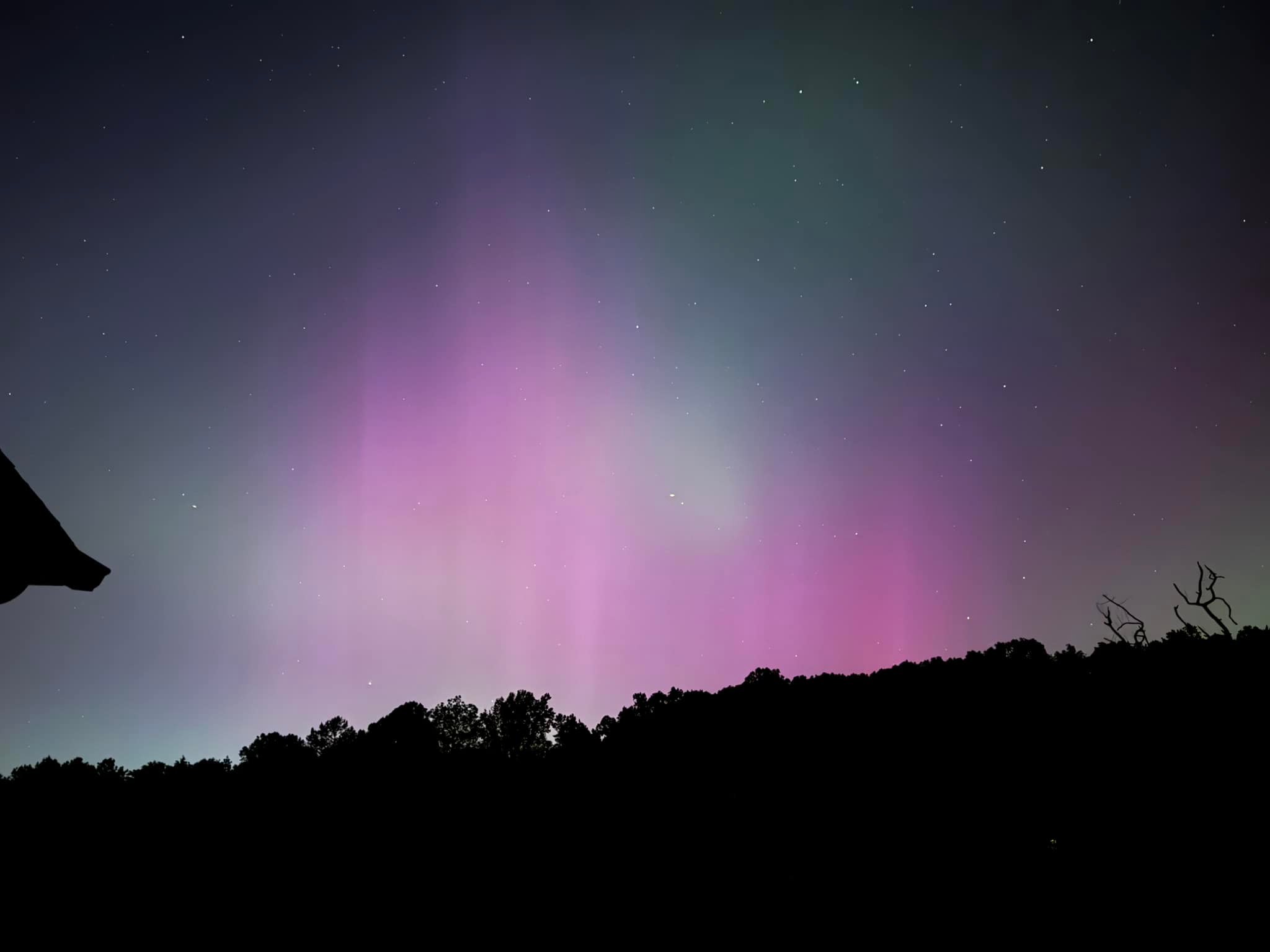 Northern lights from our backyard, definitely visible with the naked eye!