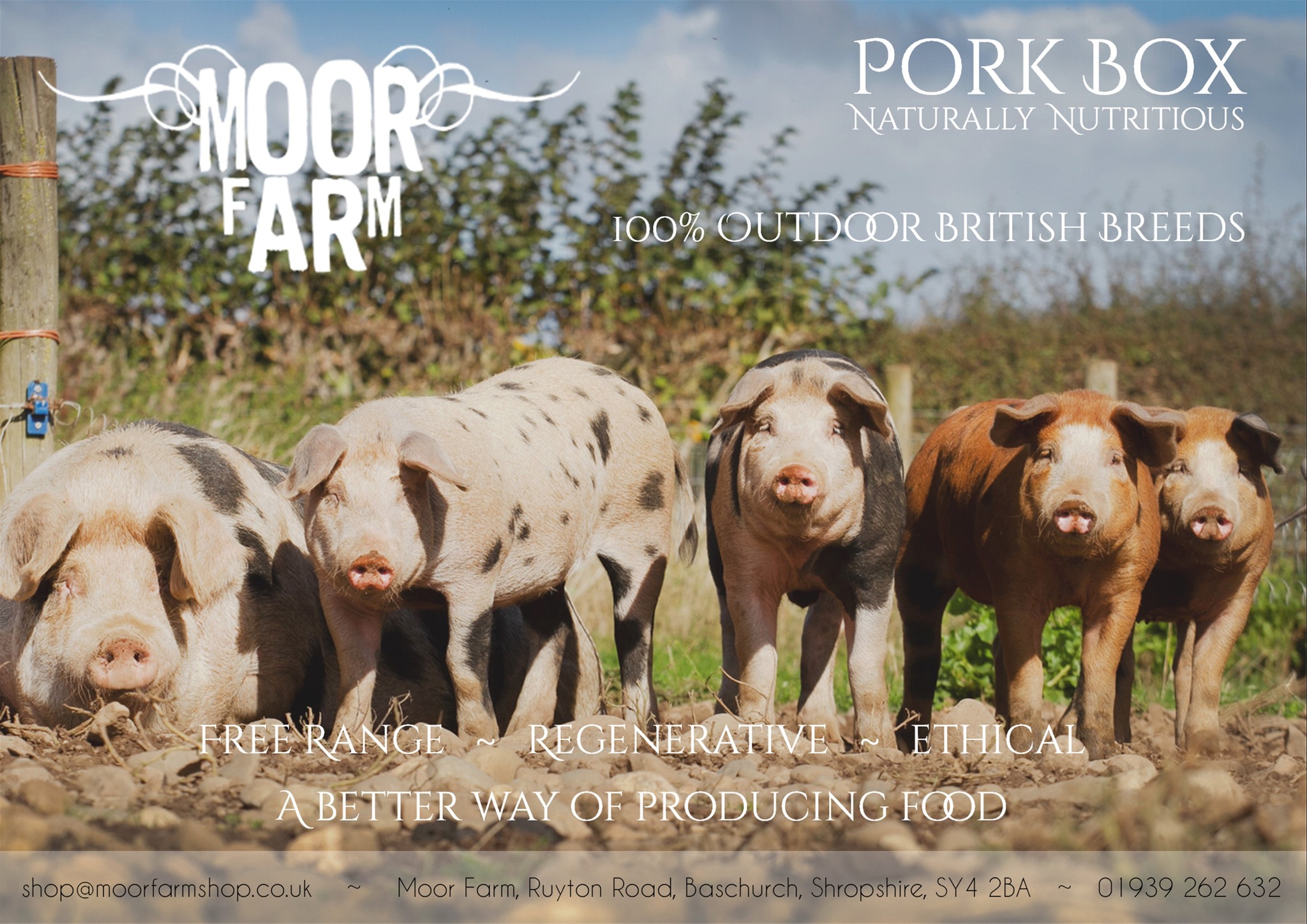 Have you tried our sausage boxes yet?
We have a few options available:
Our 5kg box is approximately 60 sausages, for just £50.
Our 10kg box is approximately 120 sausages, for just £90.
Or if you want to go the whole hog, our 20kg box is approximately 240 sausages for just £160!
If you would like any further information on our sausage, pork or beef boxes or if you would like to order one please either give the shop a call on 01939 262632 or send us a message!
#sausagebox #sausages #outdoorpork #freerangepork #shropshirefarming