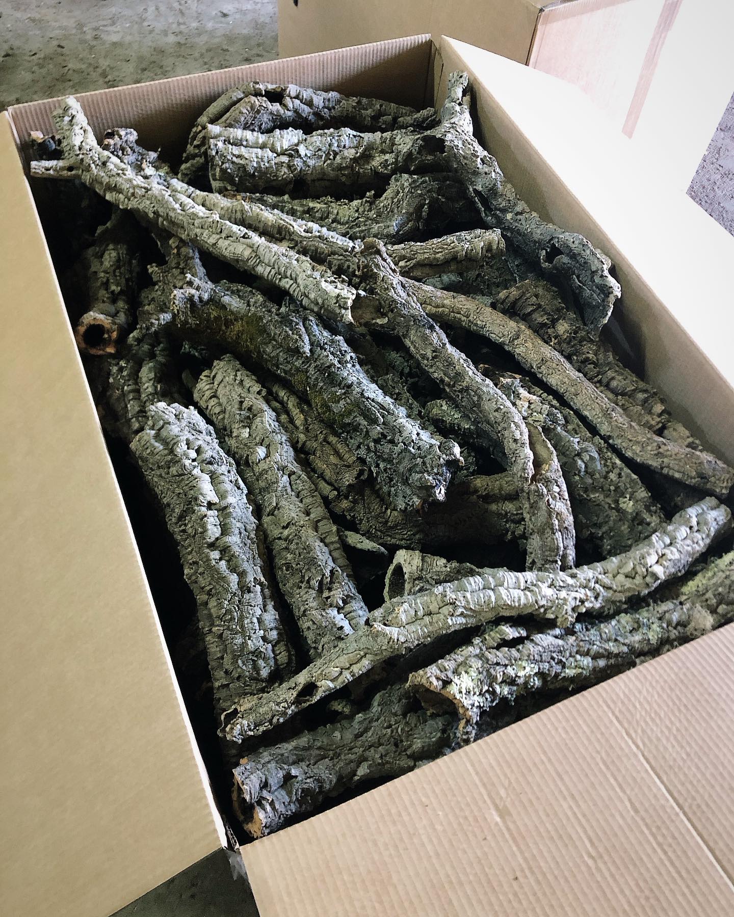 Cork Tubes
Random small diameter tubes
50 kg per box