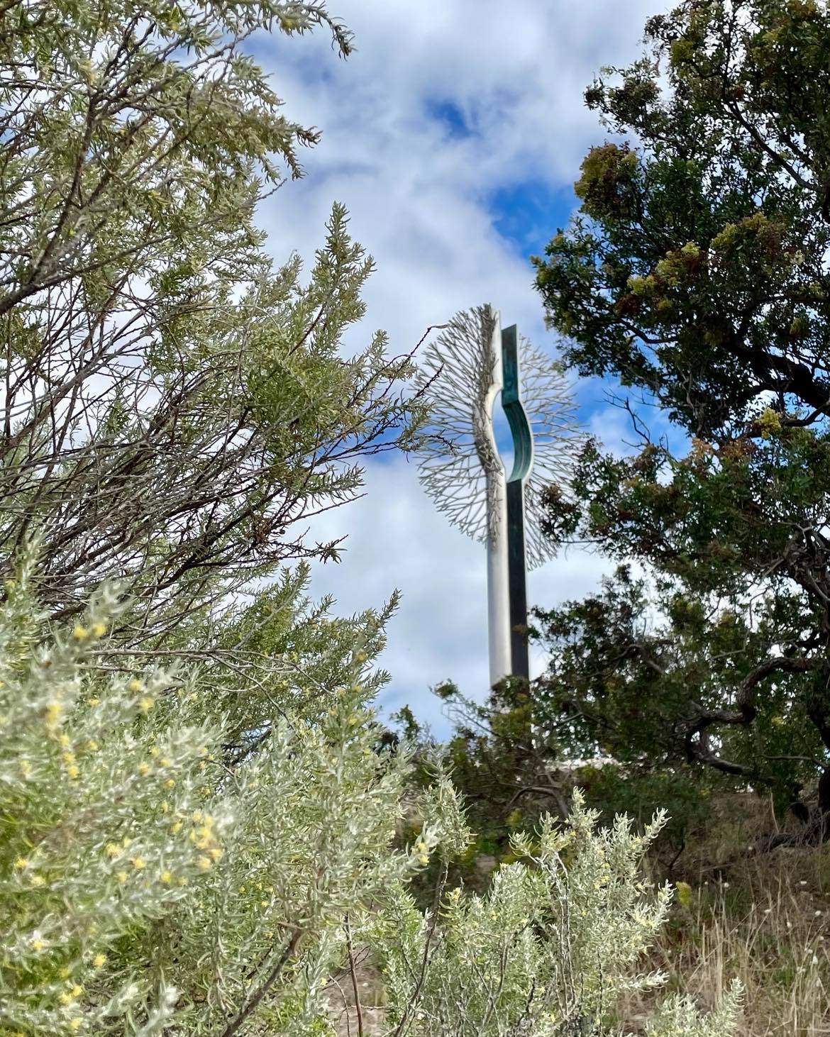 There are always new views to discover. The stunning 'Resilience' by @karl.au is visible from almost every part of the trail.
#sculpturetrail #sculpturegarden #southaustralianart @sealinkki @authentickangarooisland #publicart #communitart