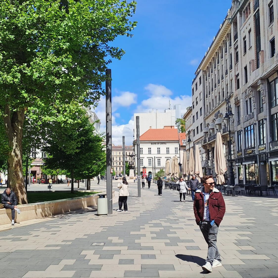 Trees for a change π³π³π³