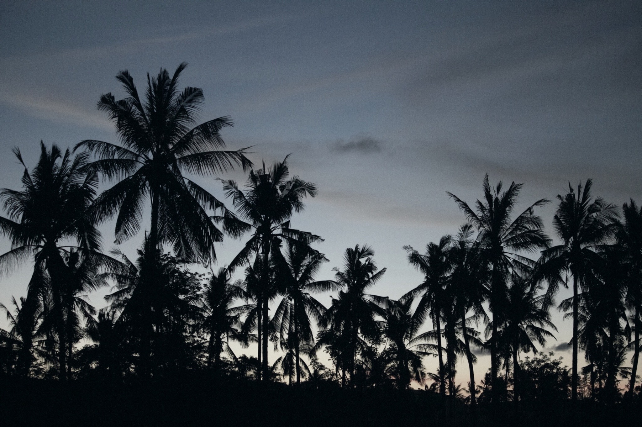 // lombok vibes
#lombok #gerupuk #surferlife #palmtrees #palmtreelover #fernweh #fernwehcollective #travelphotography #photographers #landscape #nature #saltyhome
