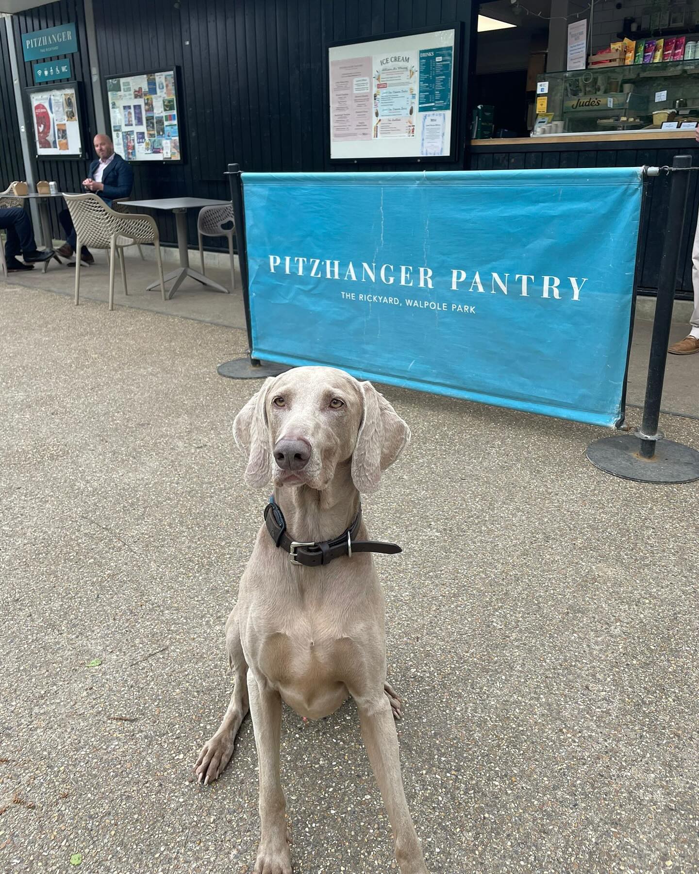Attention all dog owners!🐩
Spoil your furry friend with free doggie treats at our till, courtesy of our pals at @wolfe.vets. The biscuits get Hunter the dog’s stamp of approval!🐾
