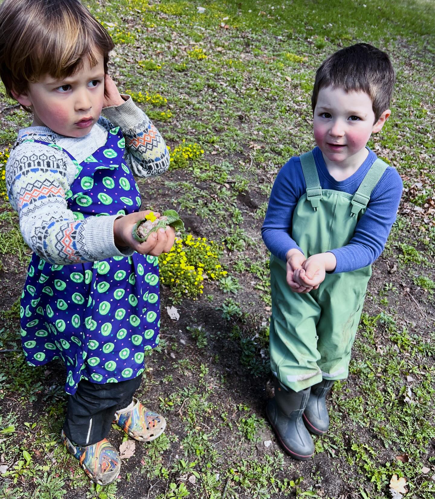 Springtime walk day cuteness. Look at the treasures! ✨🌱🌼☀️
#naturepreschool #outdoorplay @larksongpreschool