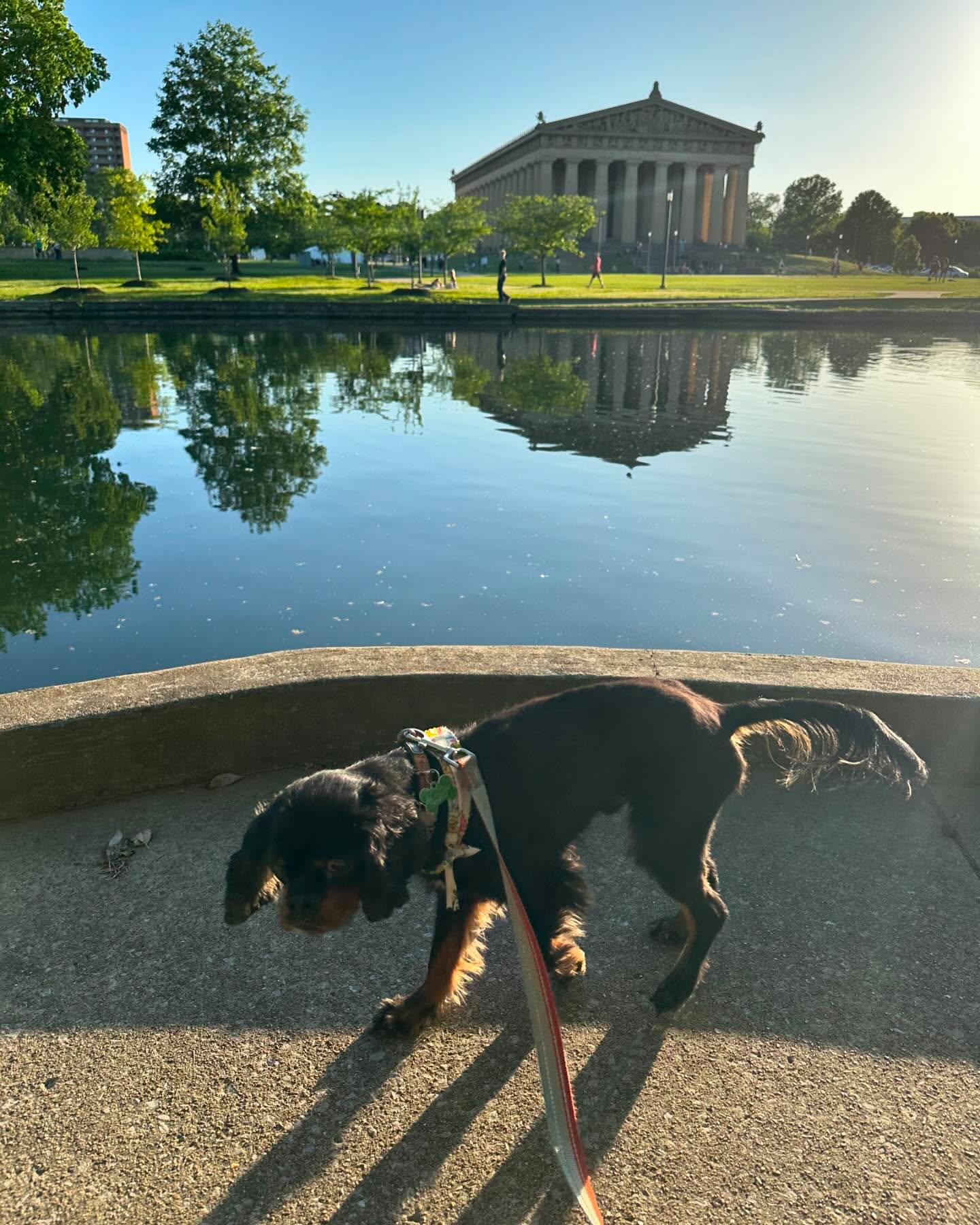 Ah, the season of golden hour and sunset walks is upon us once again! Ever since I was a kid, summer has held a special place in my heart. Even now, as an adult managing a budget, summer continues to be my favorite time of year.
The longer days and warm evenings open up a treasure trove of activities that don’t break the bank. Whether it’s planning a road trip filled with visits to national parks or grabbing a six-pack to enjoy after a game of tennis, I find that I can enjoy double the happiness at half the cost compared to other seasons. There’s something truly magical about making the most of these long summer days, soaking in every last bit of sunshine.
Summer allows us to relive some of our cherished childhood memories and create new ones without splurging. It’s the perfect time to explore, relax, and reconnect with what makes us happy.
What’s your favorite budget-friendly summer activity?
#summer #financialfreedom #dogsofinstagram