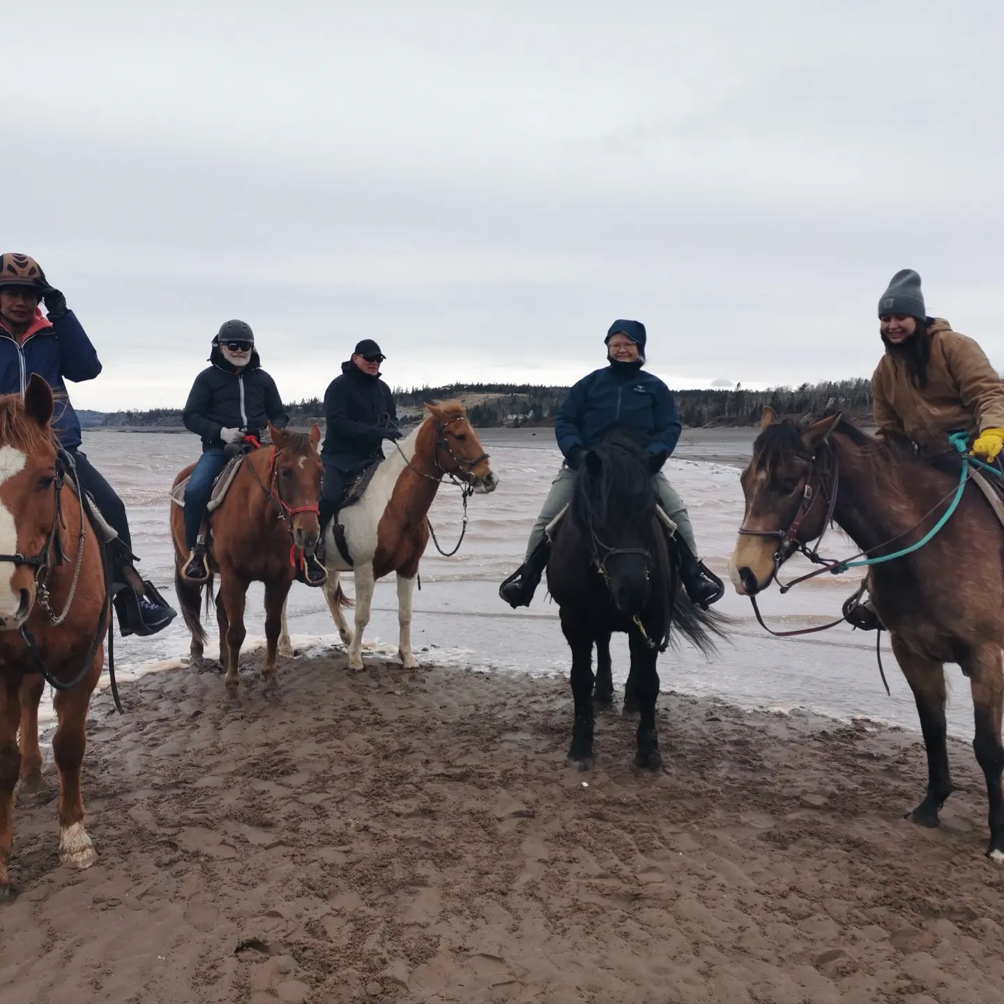 We had a busy weekend We welcomed a new horse to the barn . We did our first beach ride of the season . Karen Brianna and I explored a new trail to one.of our favorite spots
#beachrides #trailriding #horse
#horsebackrides #bayoffundy