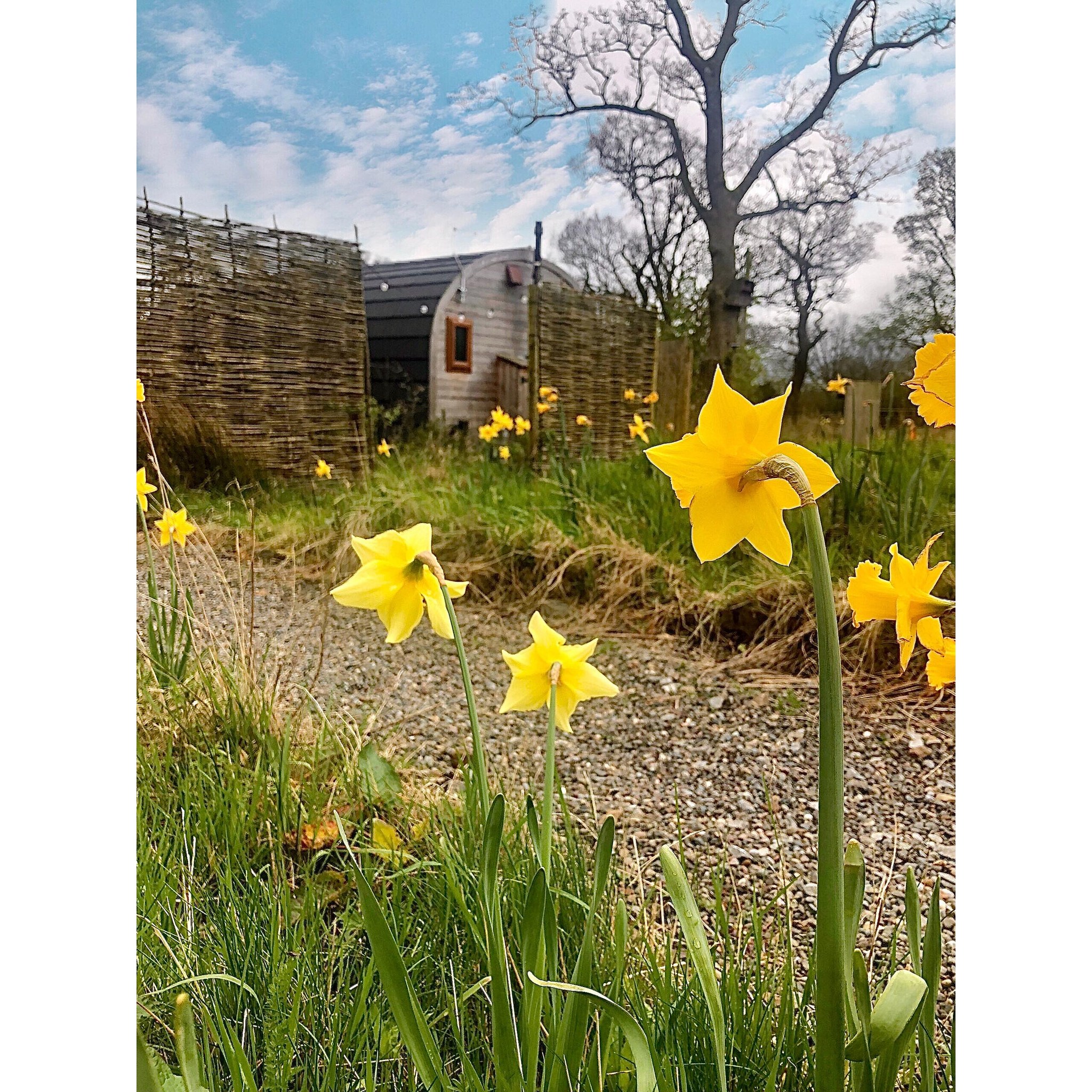 There is still a chance to utilise our 🌸Spring Special🌸 offer. Availability is limited!
Book for two nights (Monday to Thursday) before May 31st and get 20% off your booking ✨