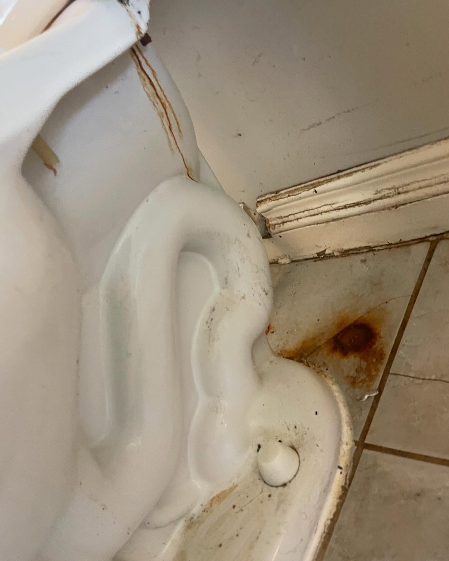 We have taken a step back from our residential services for 2024. We have moved into a sector many don’t step into. Since November of 2023 we are certified specializing in Trauma bio hazard clean up. Working closely within communities helping individuals who have lost loved ones in their homes, with city policing for scene cleans and building maintenance. #traumacleanup #biohazardcleanup #cityservices #policing #empathy #stayingsafe #homecare #dignity