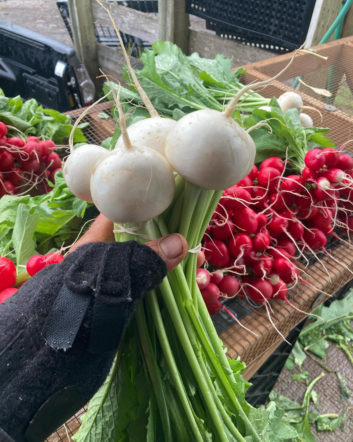 Spring yumyums coming to the last “winter” #silvertonfarmersmarket tomorrow May 4th 10:00 - 12:30, at the Community Roots School. Next weekend May 11, the market is back across from Town Square park.
