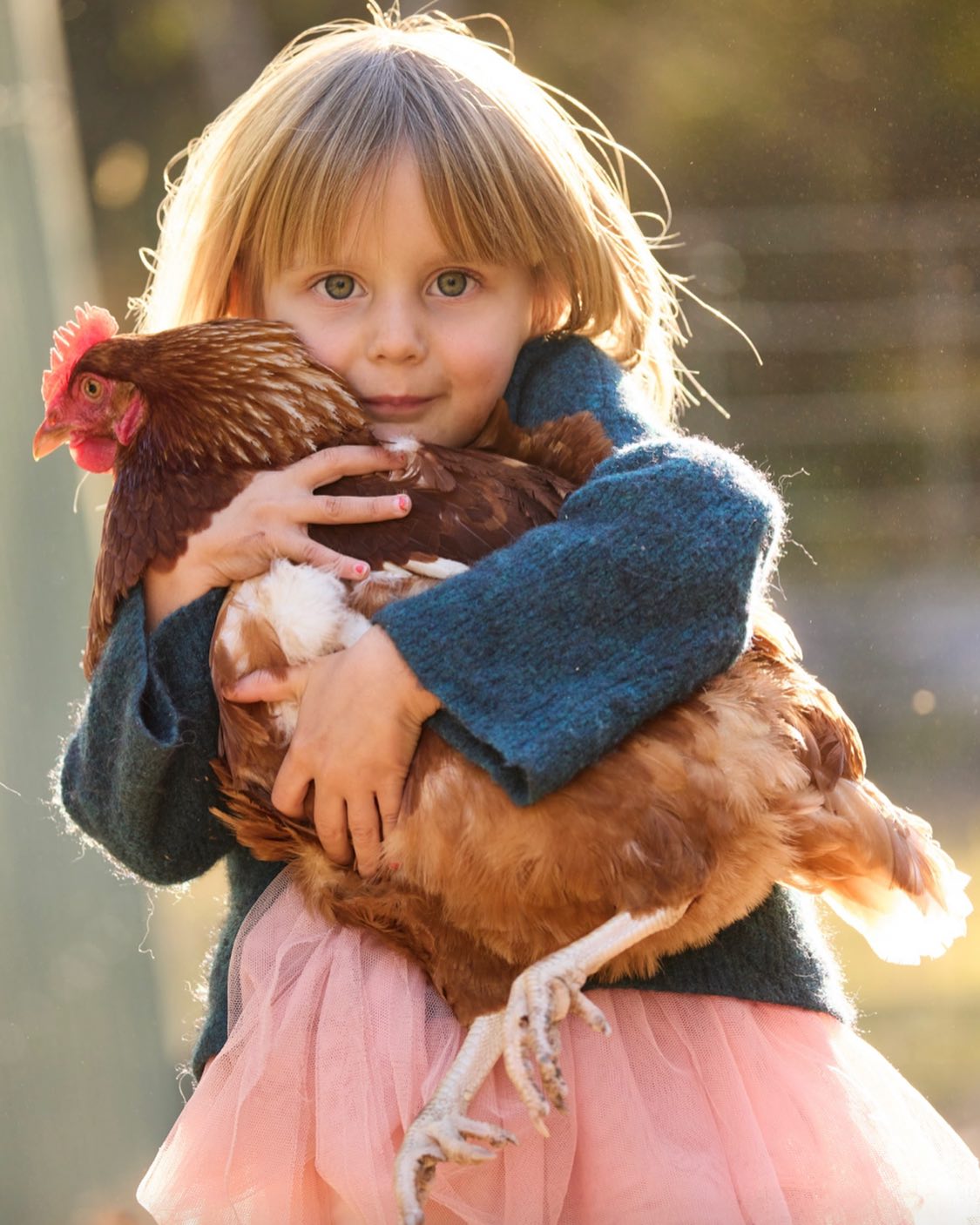 An exquisite little photo shoot this week🤩. I could have snapped away for ever. @clementine_co_ .
.
.
.
#chooks #ruralphotography #australia