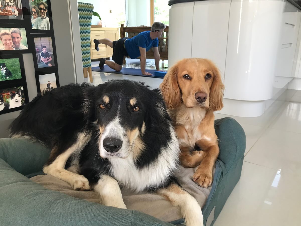 I spy someone in the background doing yoga 🧘😍 #husbandyoga #yogaforgolf #yoganewbie