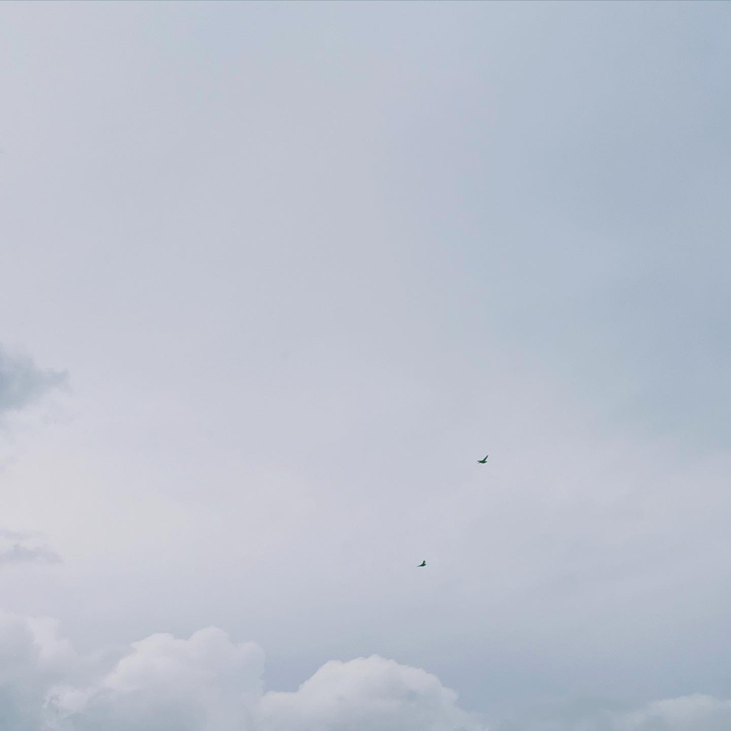 Zürich was so cute! I had my premiere as a jury member and co-selected the three film projects of this year's Zurich Film Foundation's "Fast Track" programme.
🦢