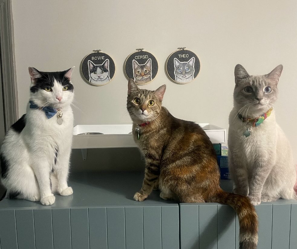 How do you even begin to get three cats to pose like this???
Quick thanks to all who send amazing photos and to all who supported the shop while I was away from social meeds ❤️ Really poured our heart and souls into getting our foster pups back to a healthy weight these last 5 months. Was it worth it? 100%