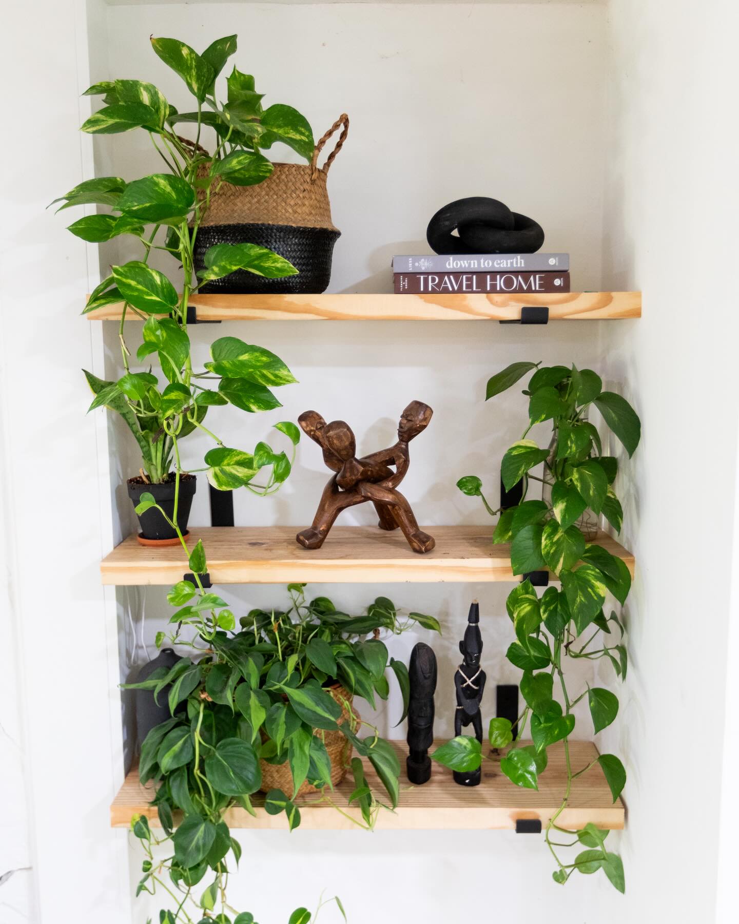 Working on my #shelfie game 😊. And I’m so proud of my new plant family, I propagated these from a plant I bought from a woman on Facebook marketplace.