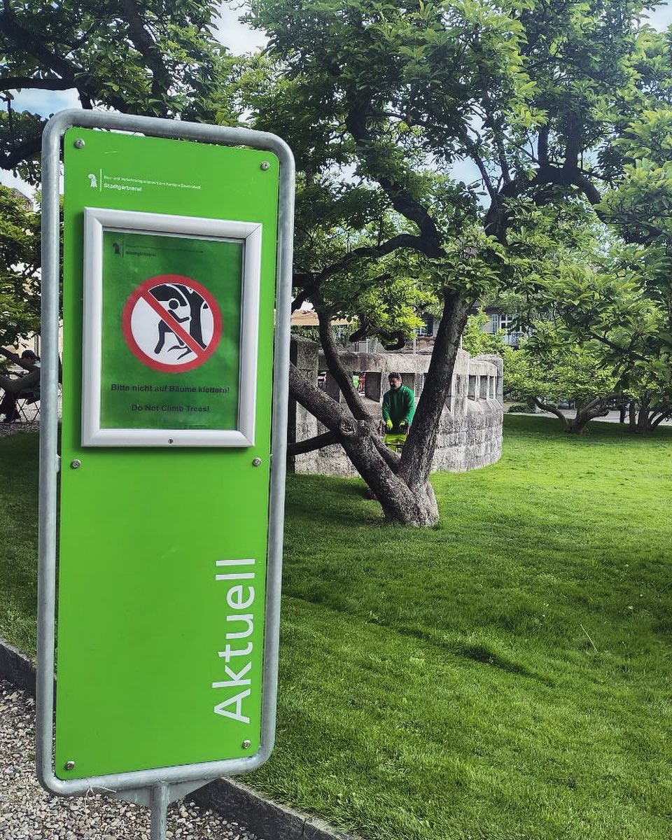 Damit unsere Magnolien noch lange leben: Niemals auf die Bäume und Äste klettern, sonst kann es durch Risse und Pilzbefall zum Absterben führen. Deshalb den altehrwürdigen Naturikonen auch beim Fotografieren immer mit Respekt und Sorgfalt begegnen. 🌸💖
.
.
.
#pauluskirchebasel #pauluskirche #kulturkirche #magnolia #magnolien #treephotography #photoshoot #bloom #spring #summer #iconic #care #treecare #garden #basel #baselswitzerland #thisisbasel #schweiz
