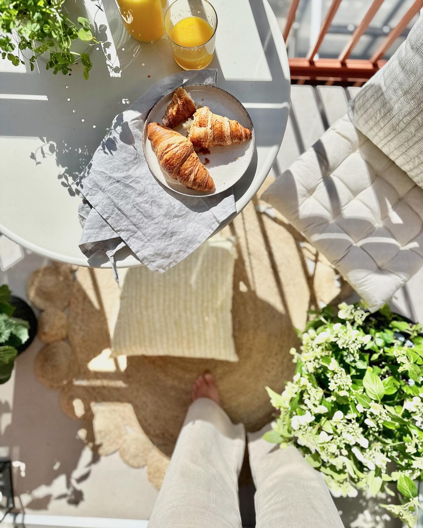 Fotograferingsdags
De två lägenheterna som jag inrett har idag fotograferats. Fotografering innebär mycket växter & blommor - speciellt då det är så fint väder som det var idag! Pyssligt och mysigt att gå och fixa med blommor i varje rum innan fotografen kommer.
