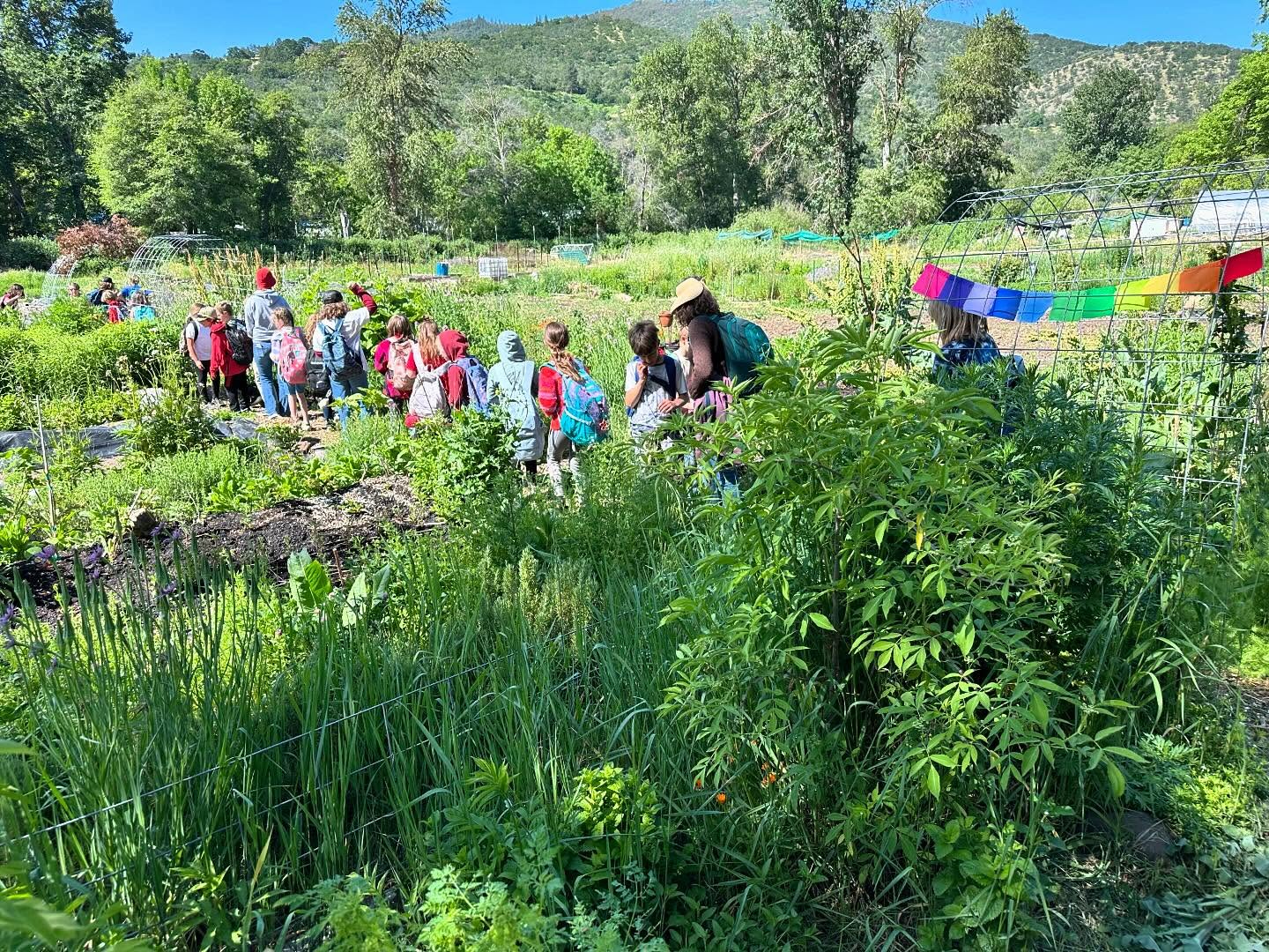 Spotted! Wild children scattering sunflowers in the garden… School is almost out but the parenting doesn’t stop! Join us for Mama Mondays 9-11am at @waterleaf.farm and @wildgardenmedicinals
No RSVP required. Drop in, relax & soak up the garden. Starting in June🌿❤️🌈✨🫶🏽