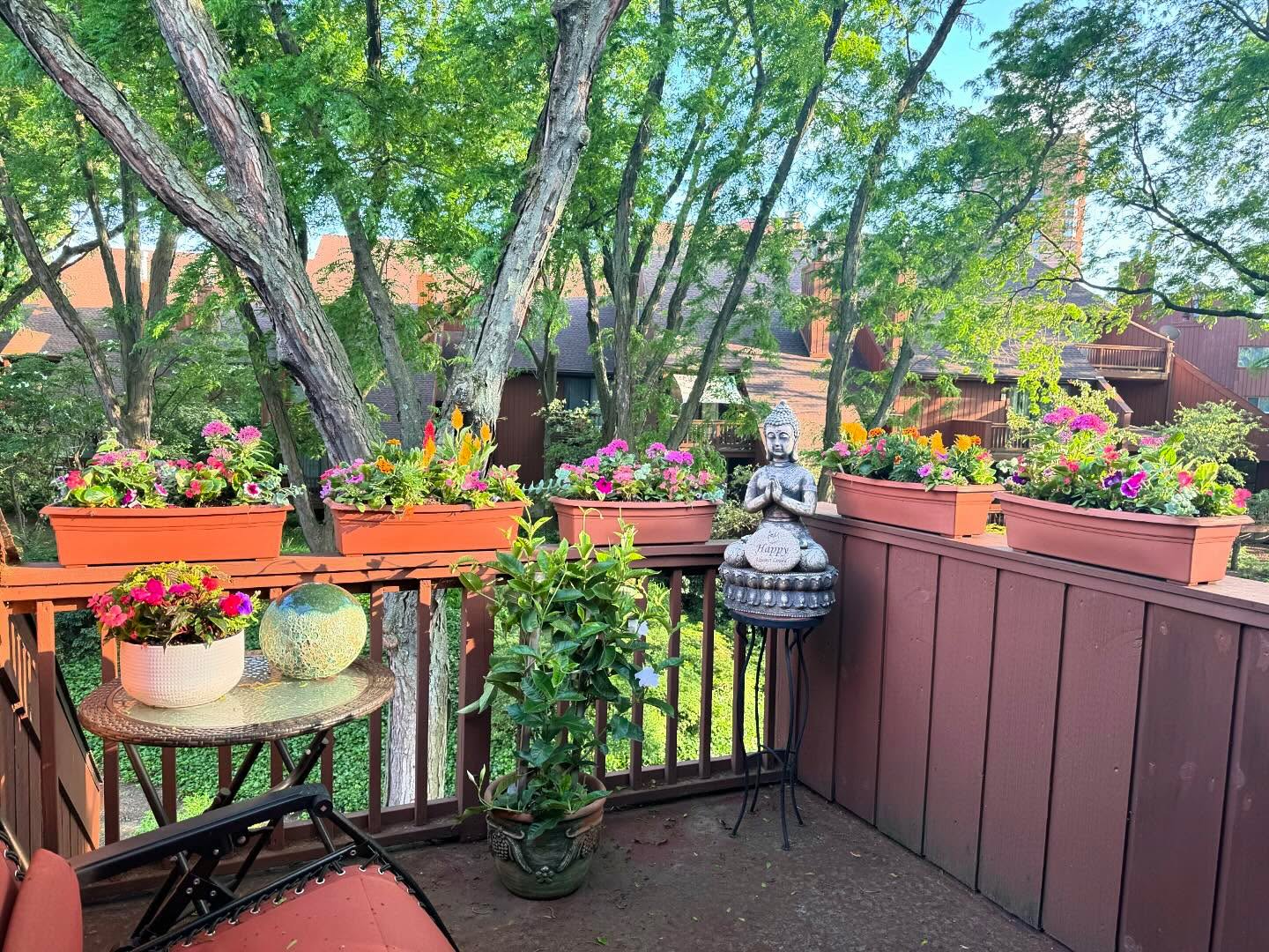 To see this every day fills me with so much joy! What brings you joy?