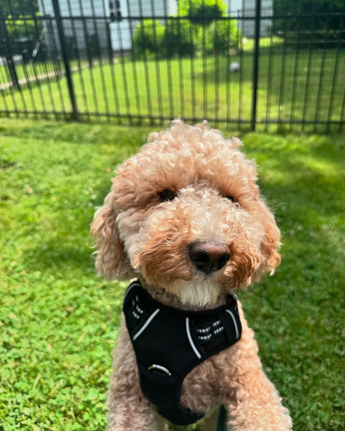 Summer is coming!!!!!