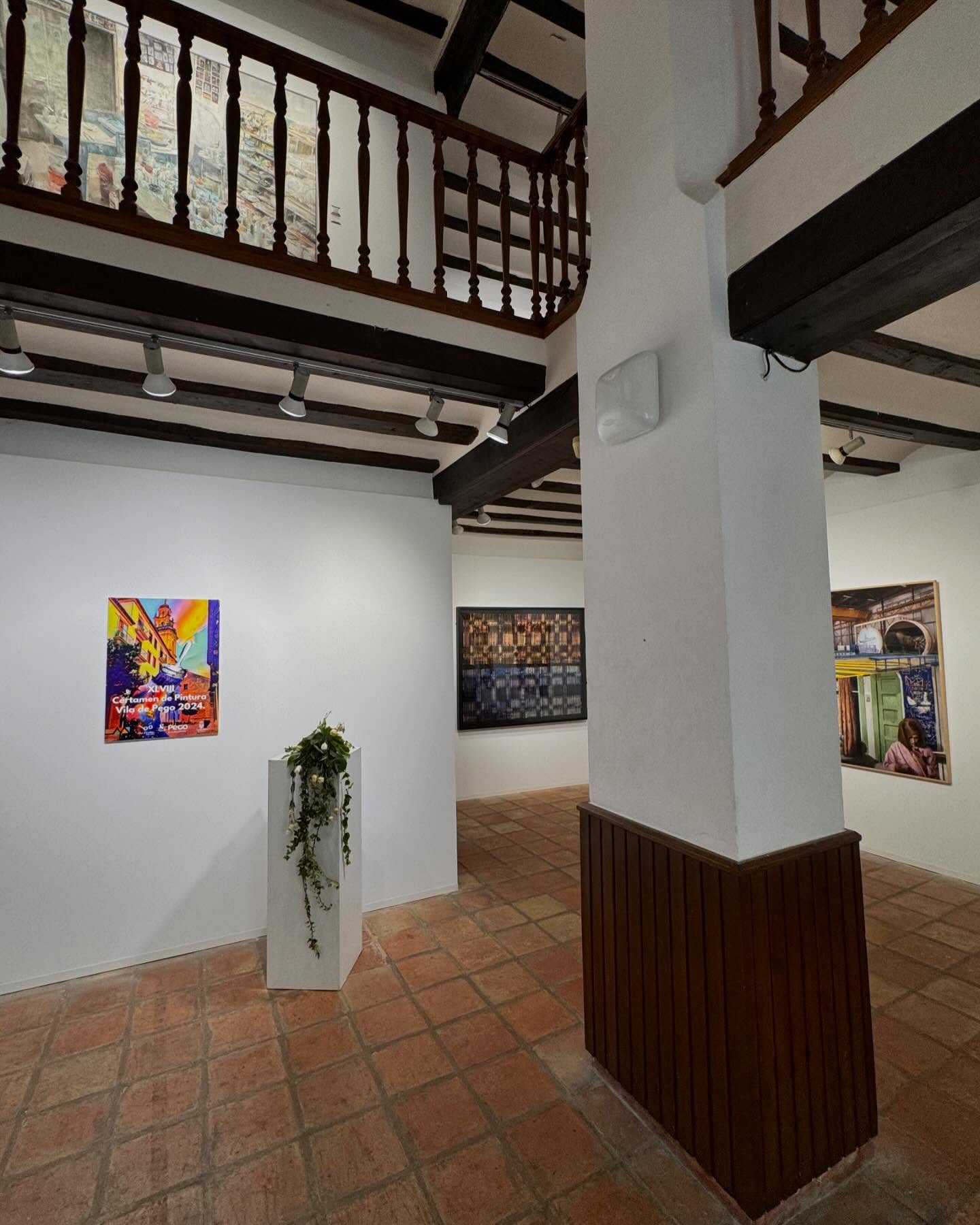 Schwindel v50 en el Certamen de pintura vila de Pego 2024