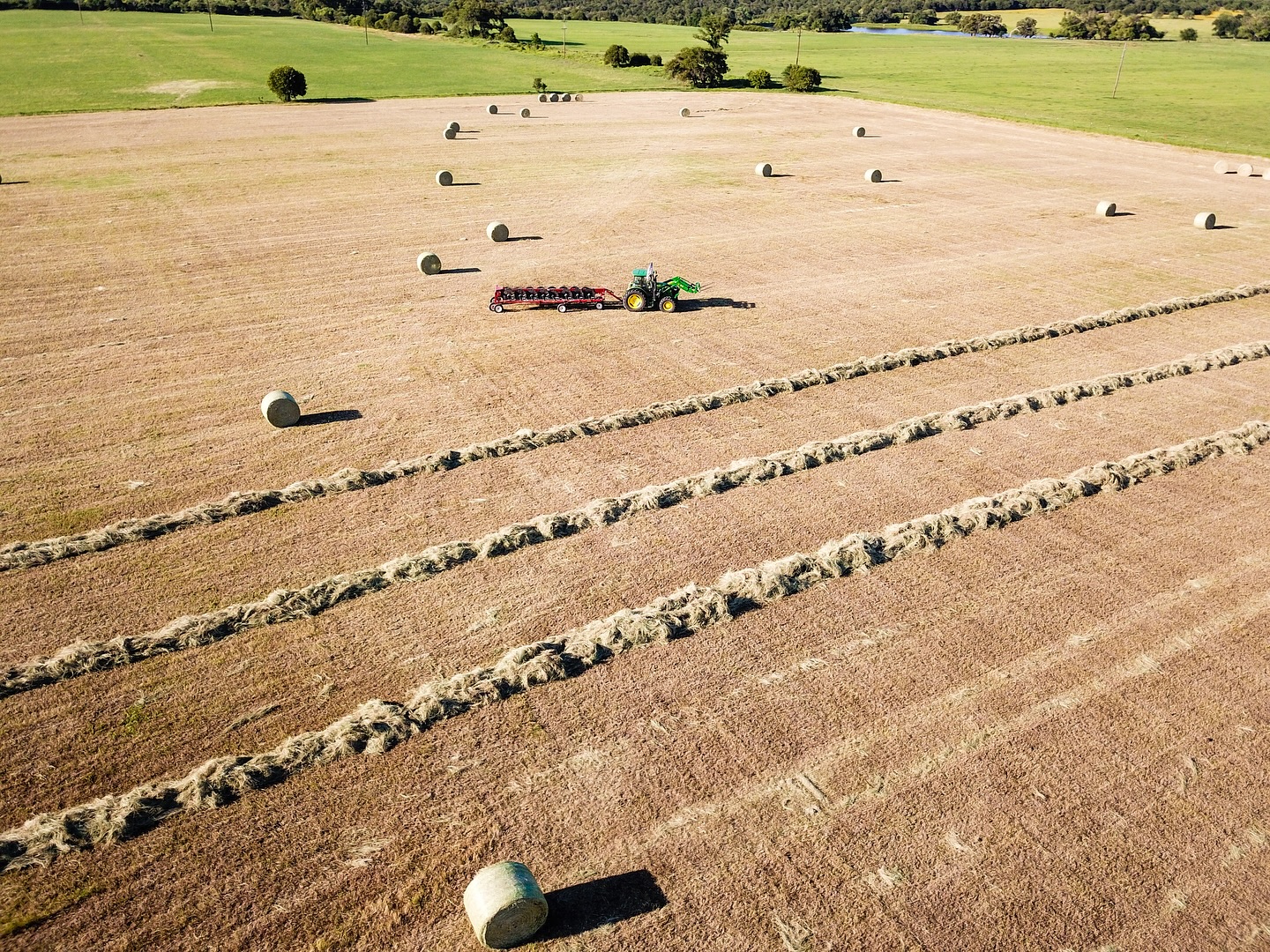A few windrows from our first pasture yesterday! 🙏🏼☀️