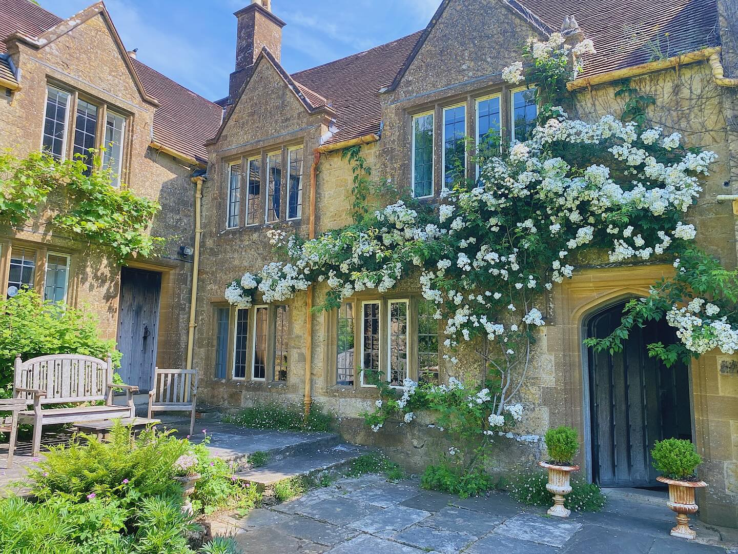 Our rambling rector rose is looking superb this year!
Plus we had some unexpected visitors the other day…🐷
#symondsburymanor #symondsbury #dorset #bridportholidays #bridportlife #bridportdorset #jurrasiccoast #dorsetcoast #countryholidays #countryholidaysuk #englishmanorhouse #englishmanors #englishmanor #englishmanorhousestyle #selfcateringaccommodation #selfcateringholidays #selfcateringholidaysuk #selfcateringholidaysdorset #dorsetholidays #uniqueholidayrentals #holidayrentalsuk