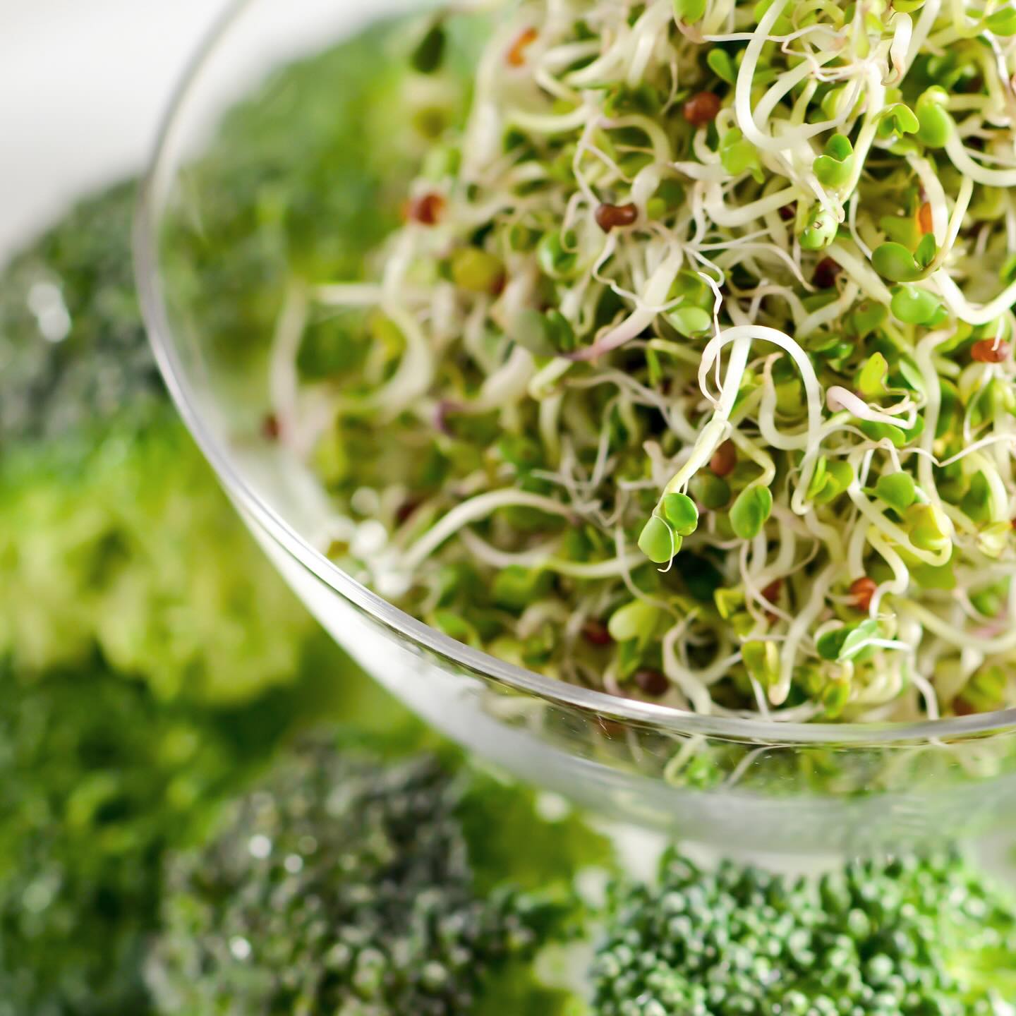 UpptĂ€ck fördelarna med broccoligroddar đ±đđ„Š
Dessa smĂ„ groddar Ă€r fulla med antioxidanter, vitaminer och mineraler som Ă€r bra för immunförsvaret đȘđŒ
Precis som vÄra andra groddar Àr de ett gott och nyttigt inslag i sallader, pÄ smörgÄsen, i wraps eller i smoothien.
Boosta din mat med lite broccoligroddar đ±
VĂ„ra broccoligroddar Ă€r bĂ„de ekologiska och KRAV-mĂ€rkta! @kravmarkt đđ«¶đŒ
#broccoligroddar #groddar #sprouts #broccolisprouts #eko #ekologiskt #nÀrodlat #svenskt #frÄnsverige #superfoods