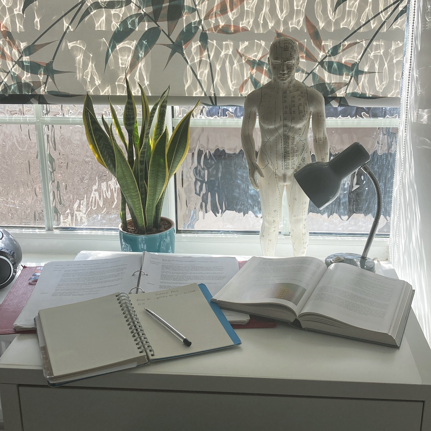 Taking a moment to make treatment plans for my patients. One of my favourite parts of my job is flicking through my point compendium finding the perfect point for my patients. This lovely calming room is where i’m very lucky to work on a Tuesday with the wonderful team @treathealthandwellbeingclinic