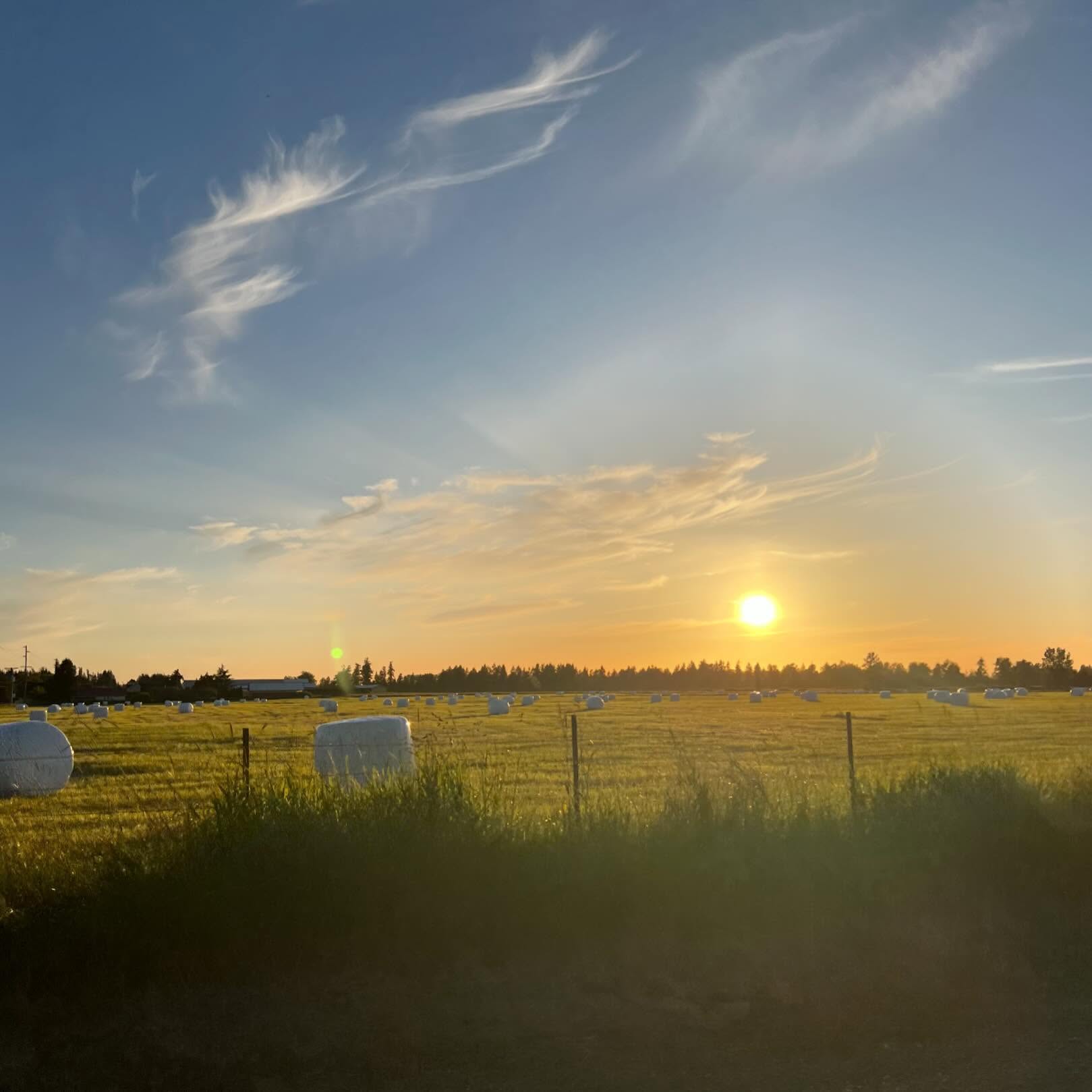 Do you prefer sunrise or sunset? 🌅 did you know we service the South South? Tacoma, Puyallup, Bonney Lake and Enumclaw just to name a few.