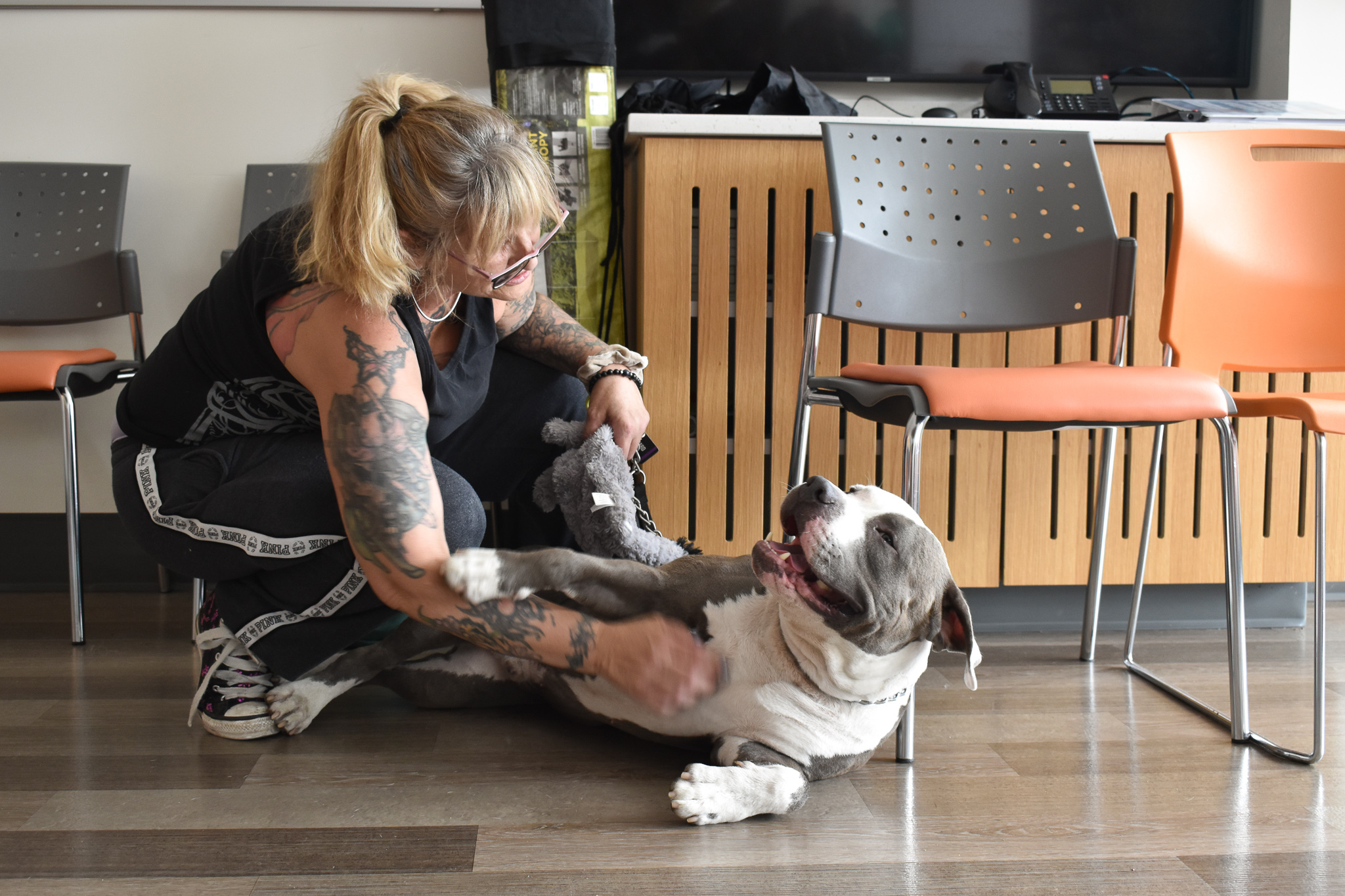 Regardless of their socioeconomic status, people love their animals and would do whatever they could to give them the best life possible. We know this. For those navigating challenging circumstances, such as losing their housing, facing a medical crisis or being a victim of domestic violence, the love of their dog or cat may be the only thing that keeps them going.
There are overlapping injustices at hand in the Portland Metro area and beyond. The lack of affordable housing, an ongoing fentanyl crisis, and few low-cost options for spaying and neutering pets create an imperfect storm for people living in precarious situations and the animals who survive alongside them.
On a hopeful note, organizations such as the Portland Animal Welfare (PAW) Team offer support to individuals going through a tough stretch by providing medical care, food, and supplies on a short or long term basis. Most importantly, they offer dignity and respect to every client and patient who walks through their doors. It is a privilege to see them in action.
Urban Alchemy, a California based nonprofit, provides transitional housing to people and their furry companions. At the Peninsula Crossing tiny house village, residents have hot meals and a large space to let their dogs run and play.
Approximately 1.5 million shelter animals are euthanized every year in the United States. While this statistic seems tangential, I can’t help but think of the ways we carry on with our lives and neglect those who are unseen. Few of the animals I’ve met while working on this project on homelessness and animals were from breeders.
They were found at truck stops, tent encampments, and abandoned buildings. The very people who we dismiss as ill equipped at caring for their pets are tending to the dogs and cats no one wants, and with help from the PAW team, they can continue to do so.
The animals in these images are seen through the eyes of their human companions and the dedicated people at @paw_teampdx and @urbanalchemyua . Through their efforts, these pets receive the care and attention they need, highlighting the profound bond between people and their animals.
🧡🧡🧡
