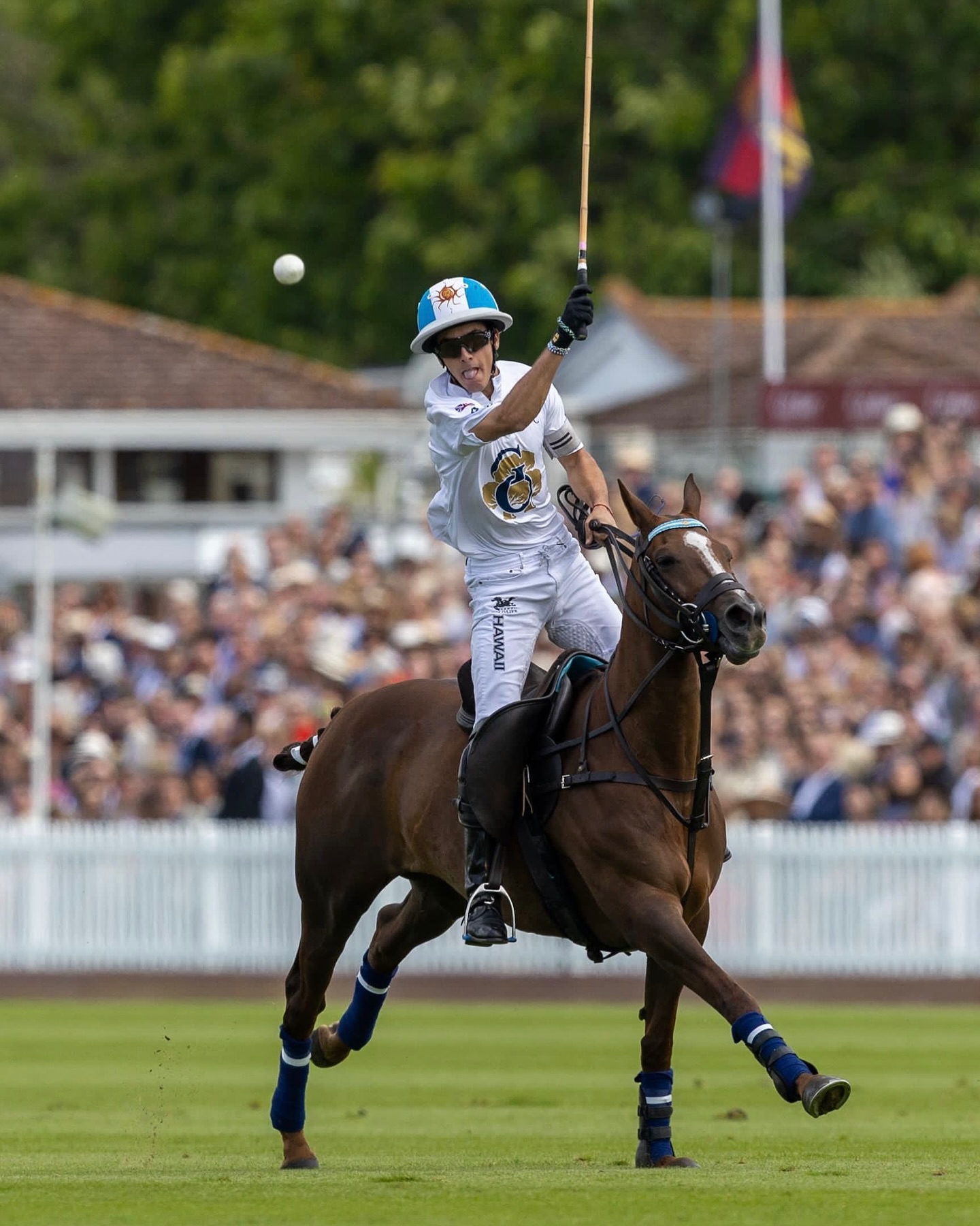 Congratulations to @ticket_vr and everyone at @guardspoloclub for one of the greatest @cartier Queen’s Cup Finals of all time, where @talandracas_poloteam came from behind against @ladolfinapoloteam Great Oaks to win 12-11 in the closing seconds of the match. It was wonderful to be graced by the presence of His Majesty The King, attending for the first time in his role as President of @guardspoloclub.
Action 📸 by @pabloramirezphotos
The King 📸 by @samuelmchurchill
#britishpoloday #guards #cartier