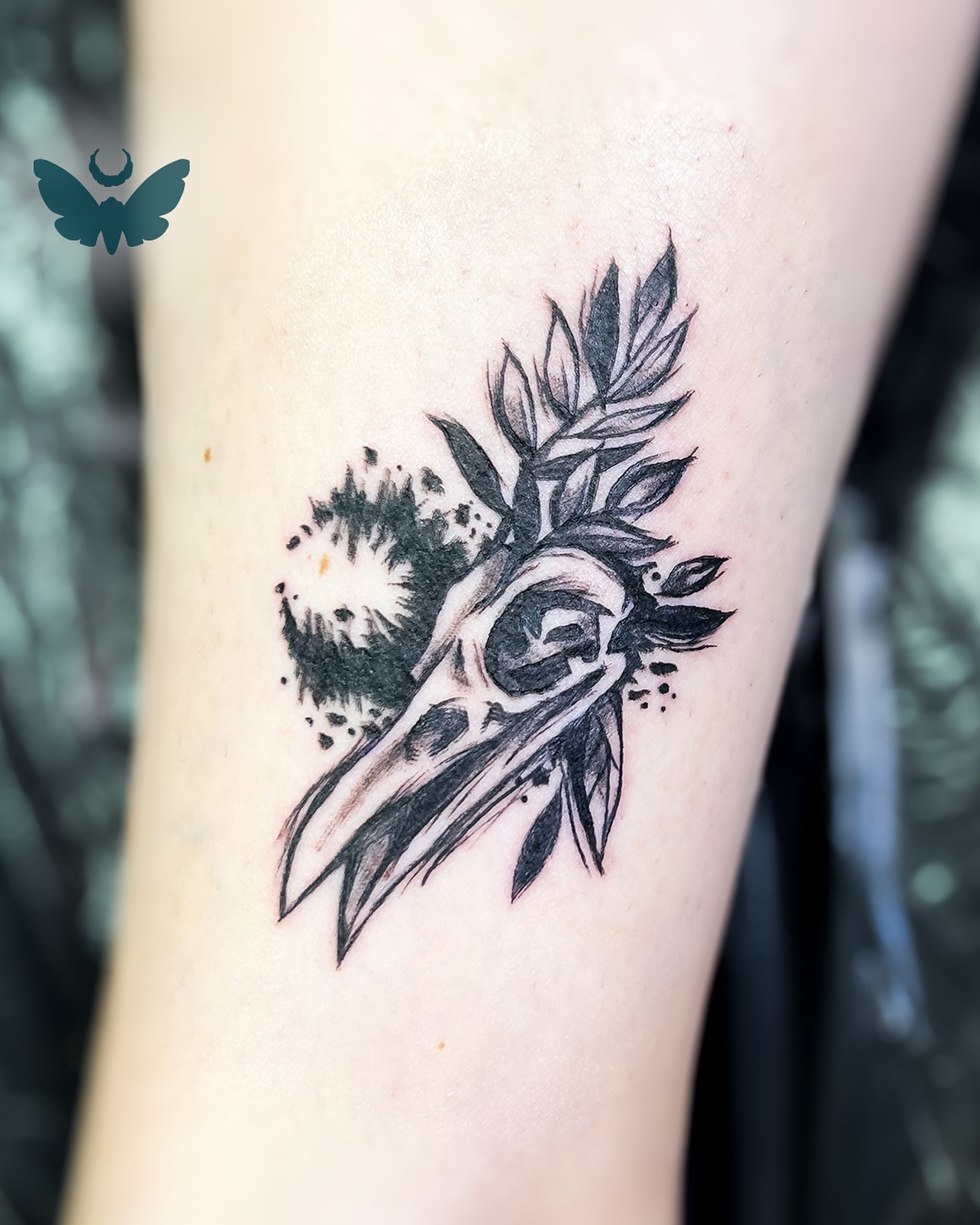 Merci Laurine d’avoir adopté ce flash 🌙
D’autres flash en mode « sketchy » sont disponibles dans la bulle « projets dispo » sur le profil. N’hésitez pas à me contacter si vous y trouvez votre bonheur ☺️
.
Je réponds à vos questions et vos demandes de RDV en MP par mail ➡️ topazie.tattoo@gmail.com ou en ligne ➡️ topazie.setmore.com/beta
.
.
#swisstattooartist #swisstattooers #swiss #raventattoo #sketchytattoo #lausannetattoo #topazie