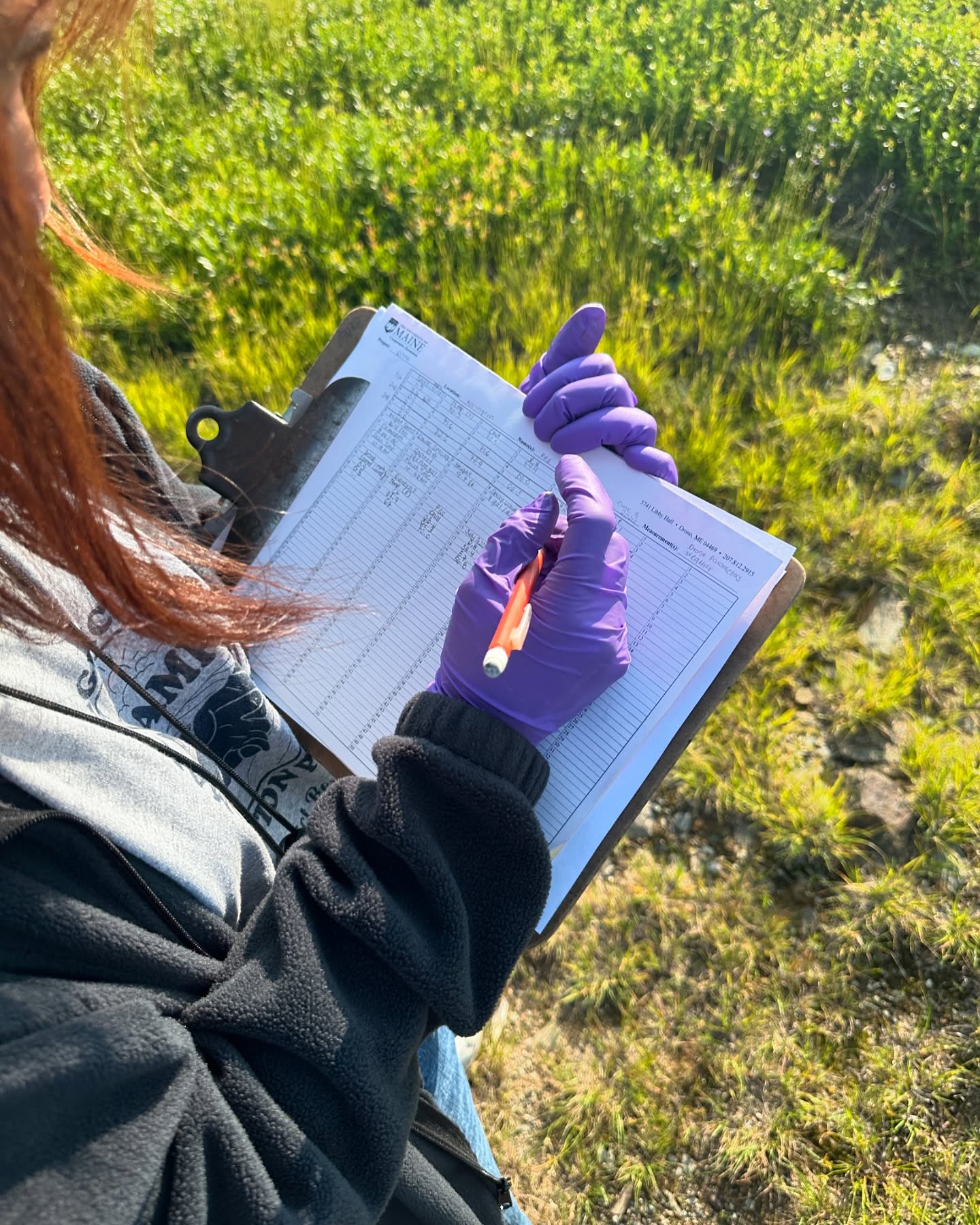 Early morning spray deposition testing with UMaine. Variables: swatch width from 10’-24’ft and droplet size 220-340 microns
#dronetesting #agresearch #blueberryresearch #agrast40