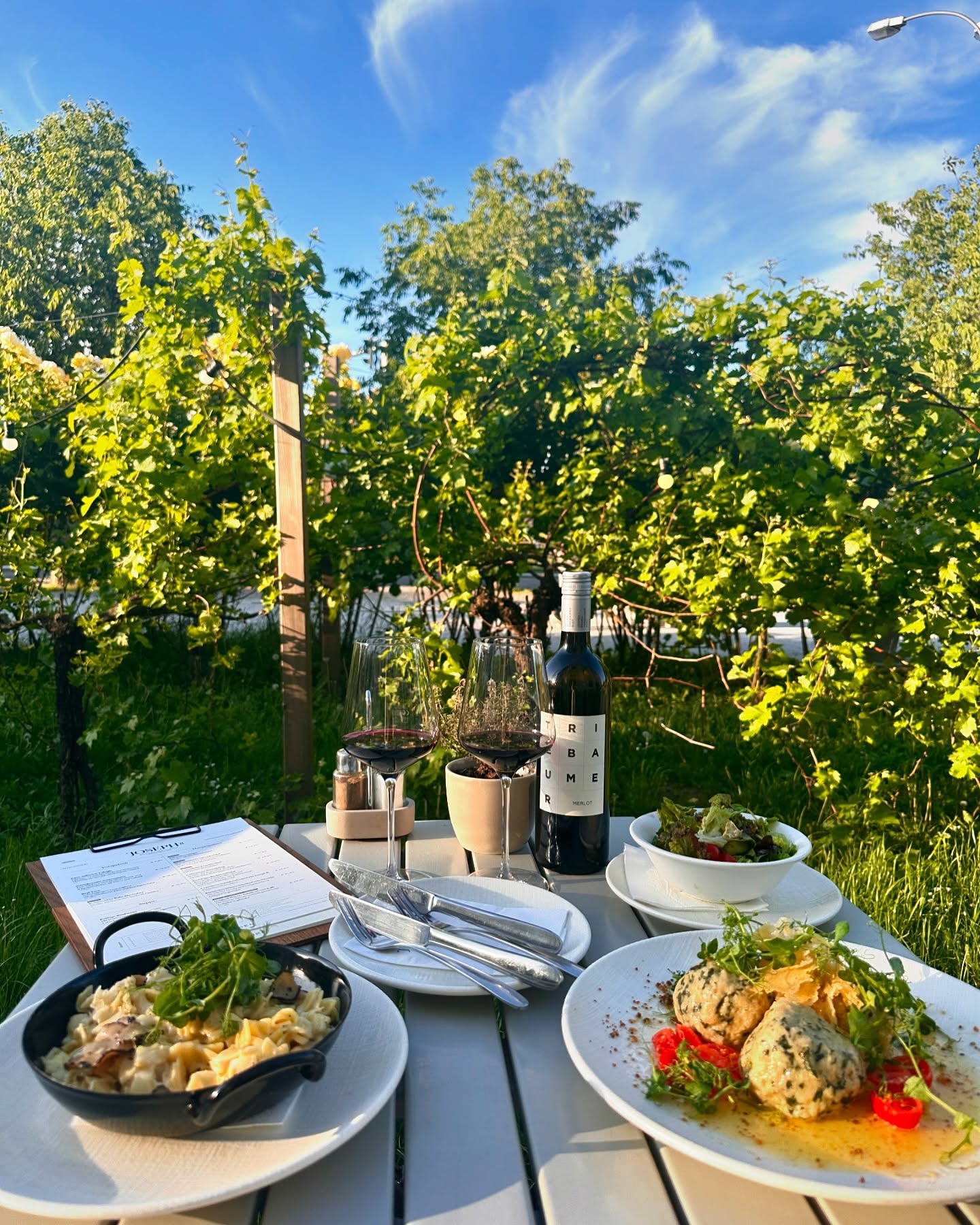 Joseph II. - deine Oase im Schloss Schönbrunn. ✨ Genieße erlesene Weine & Wiener Schmankerln in historischer Umgebung. 🍷🍇🍽️
#SchlossSchönbrunn #Vienna #VisitVienna #VisitSchlossSchönbrunn #JosephII #RestaurantWien #GastroNews #ViennaFood #VienneseCusine #WienerKüche#visitAustria #esseninWien #WienerKulinarik #ViennaFoodGuide #ViennaFoodSpots #ViennaRestaurants #Viennamusttry