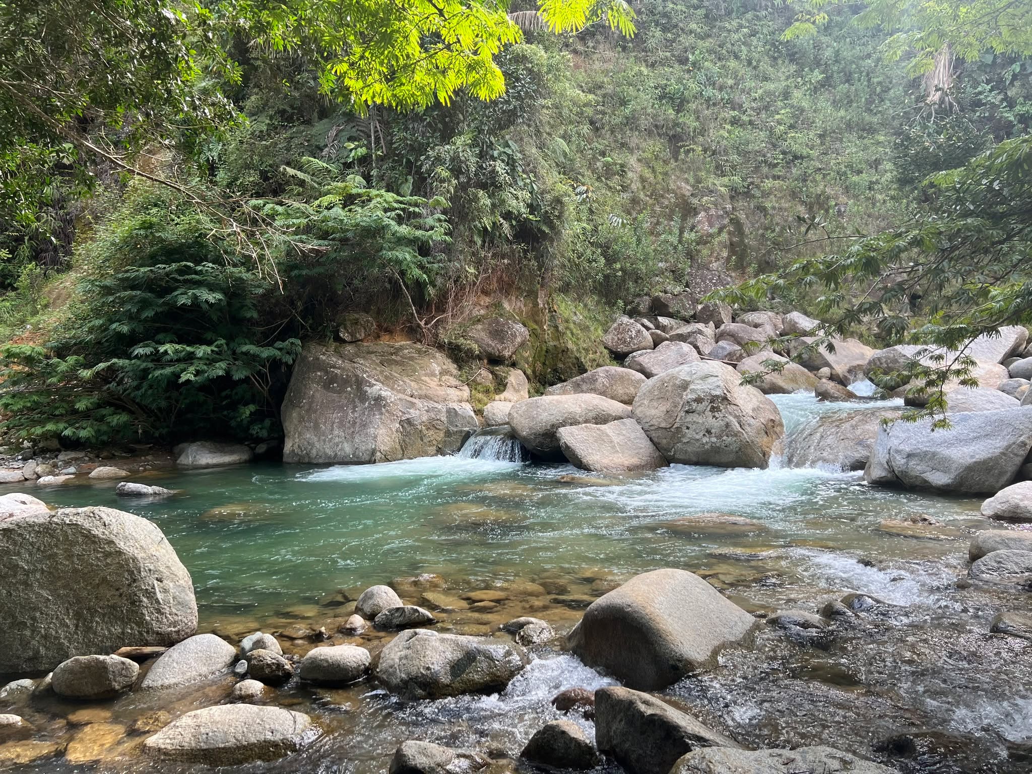 Begin your day with a cool splash! Enjoy the crisp morning air and the soothing flow of the river. 🌊
Yes, you get this part of the river all to yourself when you book any of our rental houses. Send us a message to reserve! 😊
#ReservaLasCorrientes #Reserva #Hotel #Staycation #Finca #Naturaleza #Antiquioa #medellin #Colombia #DigitalNomad