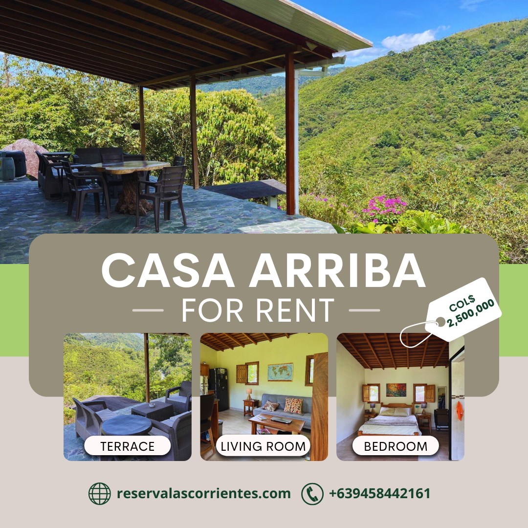 City life can be exhausting sometimes, but a stay here will rejuvenate your mind and soul. Escape to tranquility and find your peace! ✨
Enjoy the best of nature with breathtaking mountain and river views from our new rental home, CASA ARRIBA. 🏡
Book your stay today!
#ReservaLasCorrientes #Reserva #Hotel #Staycation #Finca #Naturaleza #Antiquioa #medellin #Colombia #DigitalNomad