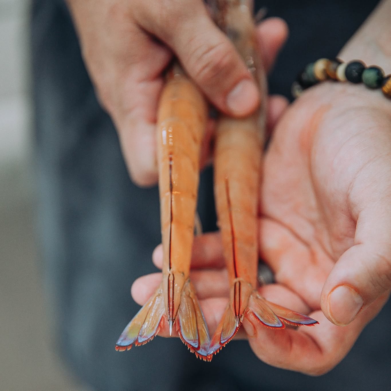 Eastern King Prawns! Check out the colours on these beauties! 🙌
#silverseaseafoods #snapfrozenprawns #premiumqualityseafood #hongkong #singapore #australianprawns #freshprawns #sustainableseafood #kingprawn